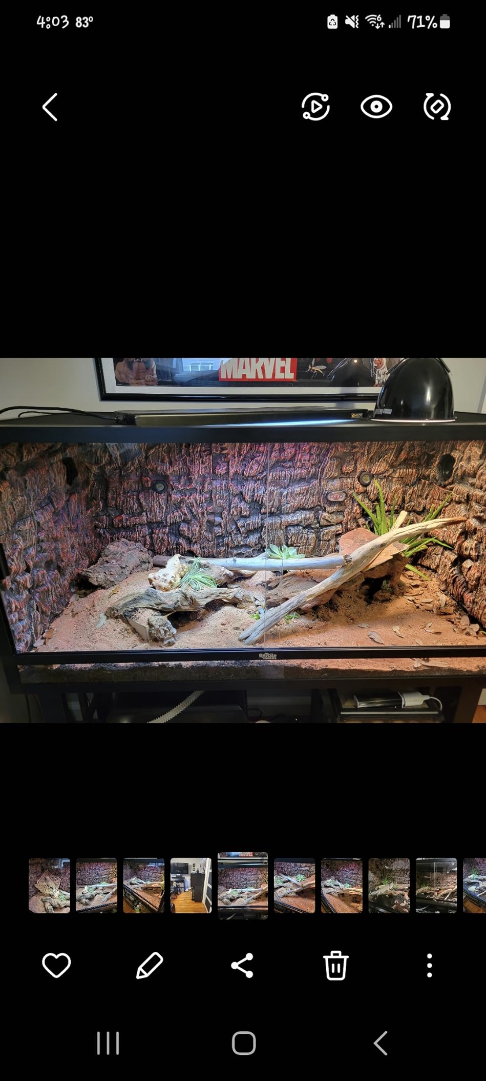 Reptile Habitats 4x2x2 (120 Gallon) Reptile Enclosure V3 PVC Panels, Glass Doors, Lightweight, Easy to Assemble, Heavy Duty Screen, Aluminum Frame customer photo 1