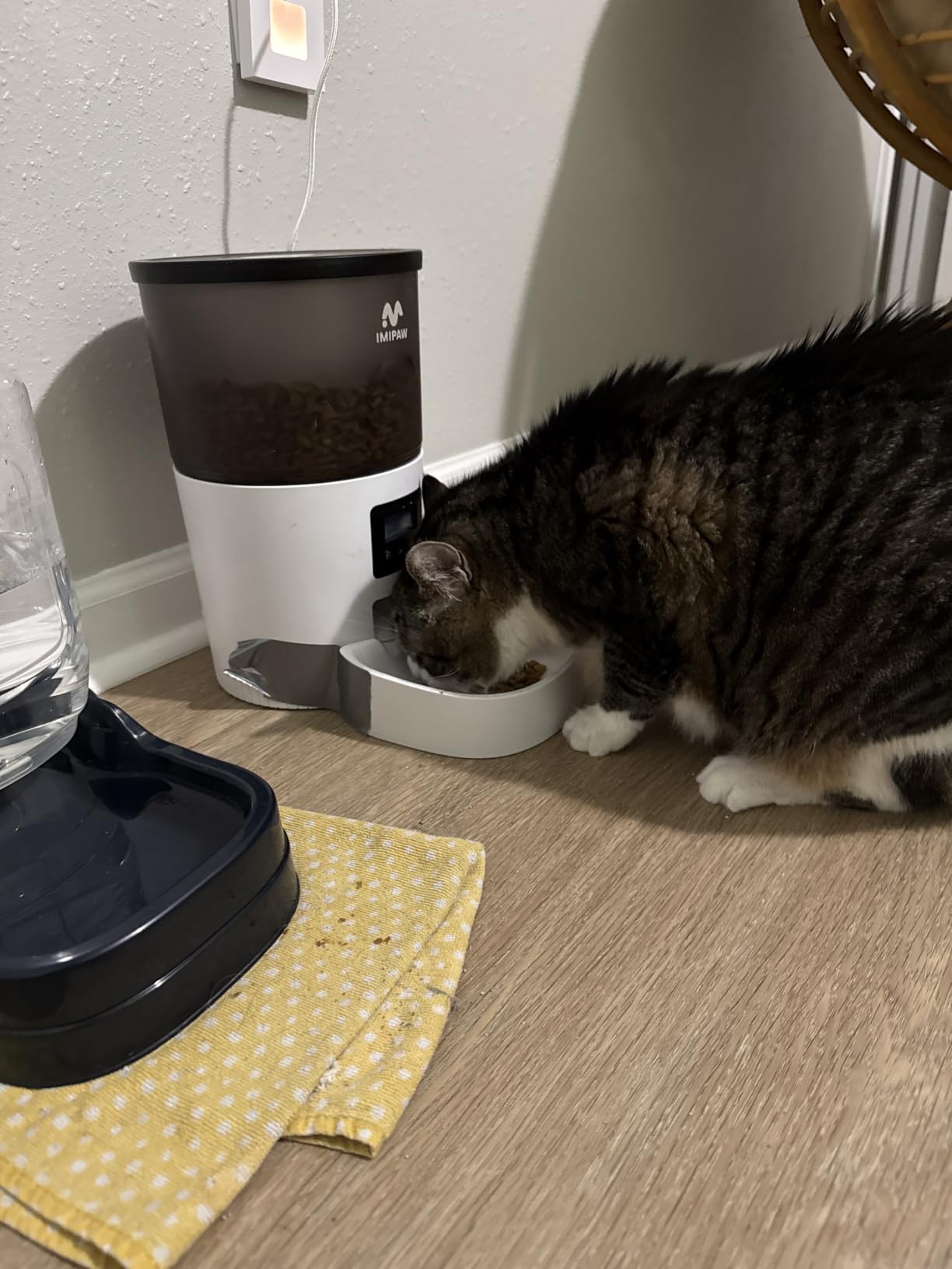 IMIPAW Automatic Cat Feeders, Timed Cat Dry Food Dispenser with Desiccant Bag, Dual Power Supply, Programmable Portion Size, 6 Meals, 20 Portions Per Day, Auto Pet Feeder for Cats and Small Dog, White customer photo 2