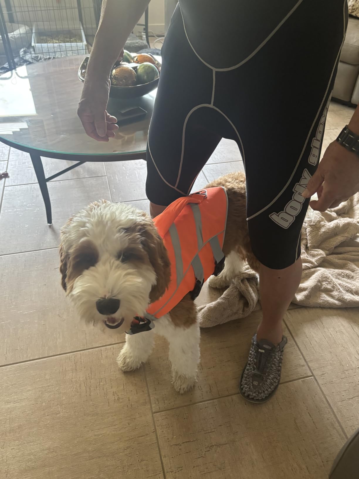 Kuoser Reflective Dog Life Jacket, Dog Life Vest for Swimming Boating customer photo 1