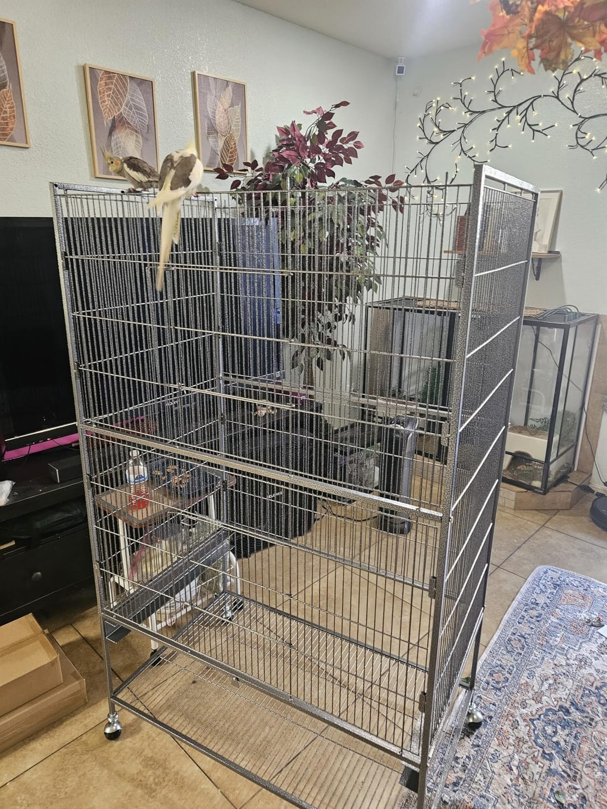 Yaheetech 60.5inch Extra Large Bird Cage Metal Parrot Cage Flight Cage for Cockatiels African Grey Quaker Green Cheek Sun Conure Medium Birds Parrots customer photo 1