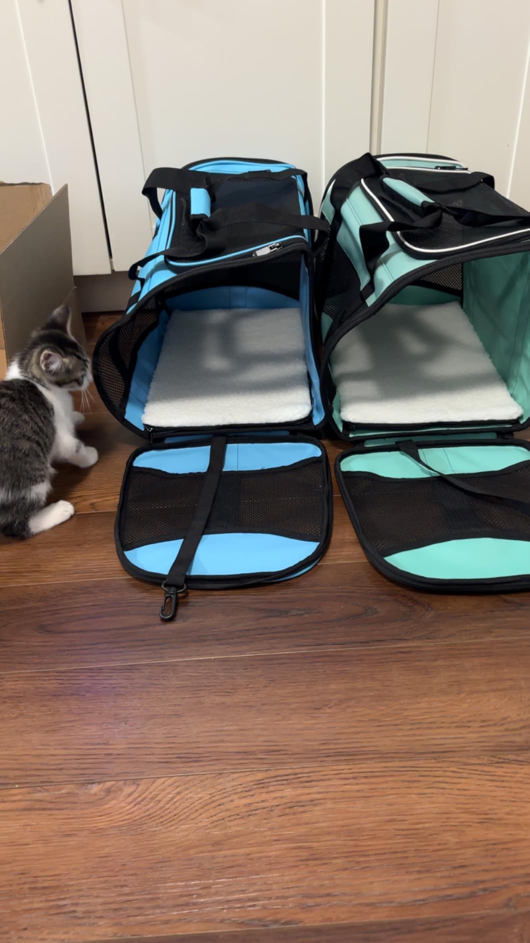 Cat Dog Carriers Soft-Sided Pet Carrier Large Cats for Medium Big Cat Small Dog Puppy up to 16lbs TSA Airline Approved Animal Collapsible Cat Carrier Carriers Travel Carrier Cat Bag (17x11x11) customer photo 1