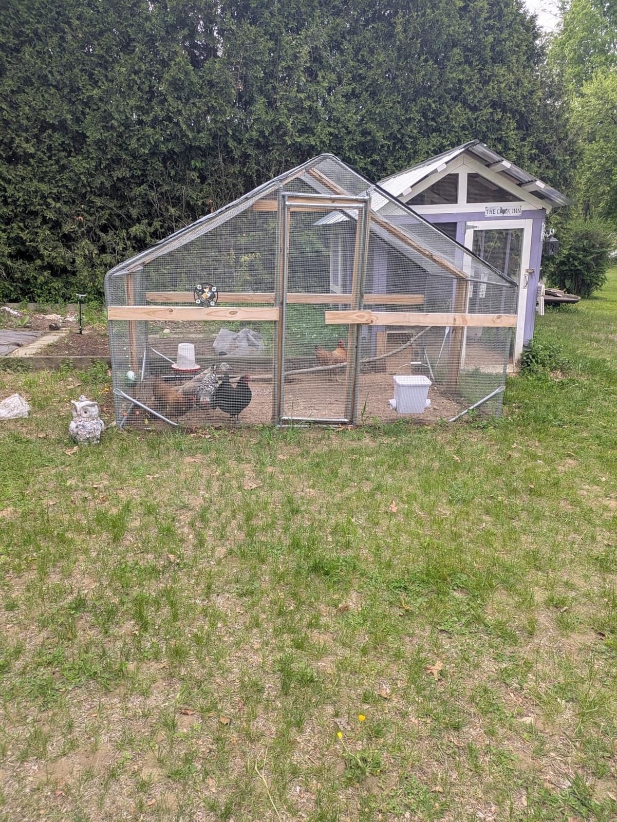 CHIKENCOOP 9.8 x 6.5 x 6.5 ft Metal Chicken Coop, Chicken Run with Cover | Walk-in outdoor enclosure with waterproof UV-resistant cover, reinforced frame, and 47 x 40 in eucalyptus perch customer photo 2