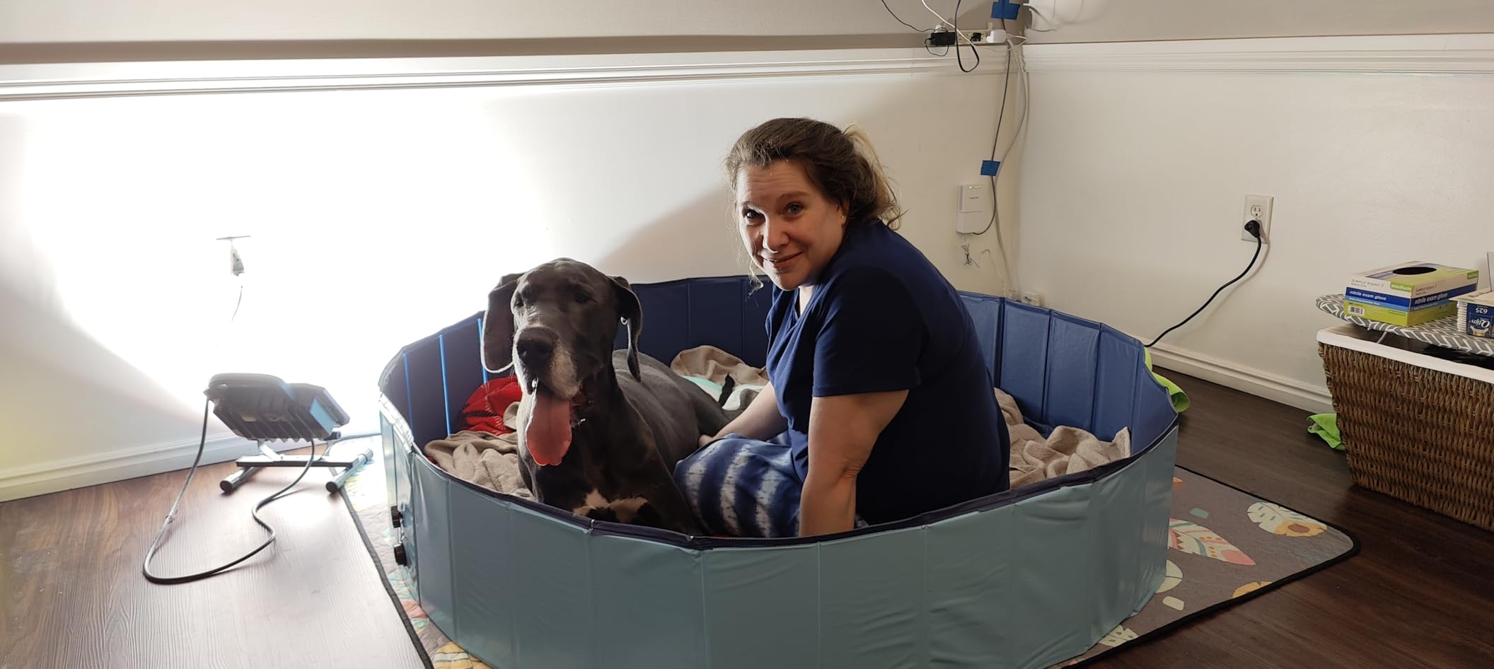 Artilife Whelping Box for Dogs Welp Box Whelping Pool,Puppy Whelping Pen for Dogs Puppies,Great for Puppies,Easy to Clean (47inch Dia.x12inch H(120x30cm), Blue) customer photo 2