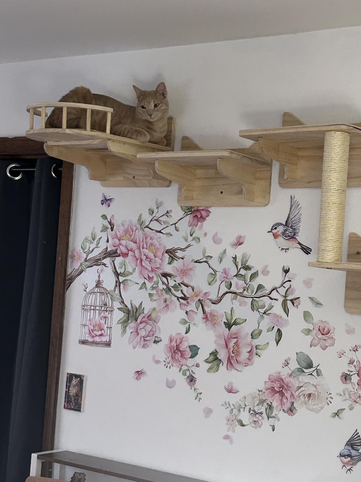 NOVGOBHOT Cat Wall Shelves for Large Cats - 9-Piece Wooden Wall-Mounted Cat Shelves Set, Kitty Climbing System with Perches, Scratching Post & Condo House customer photo 2