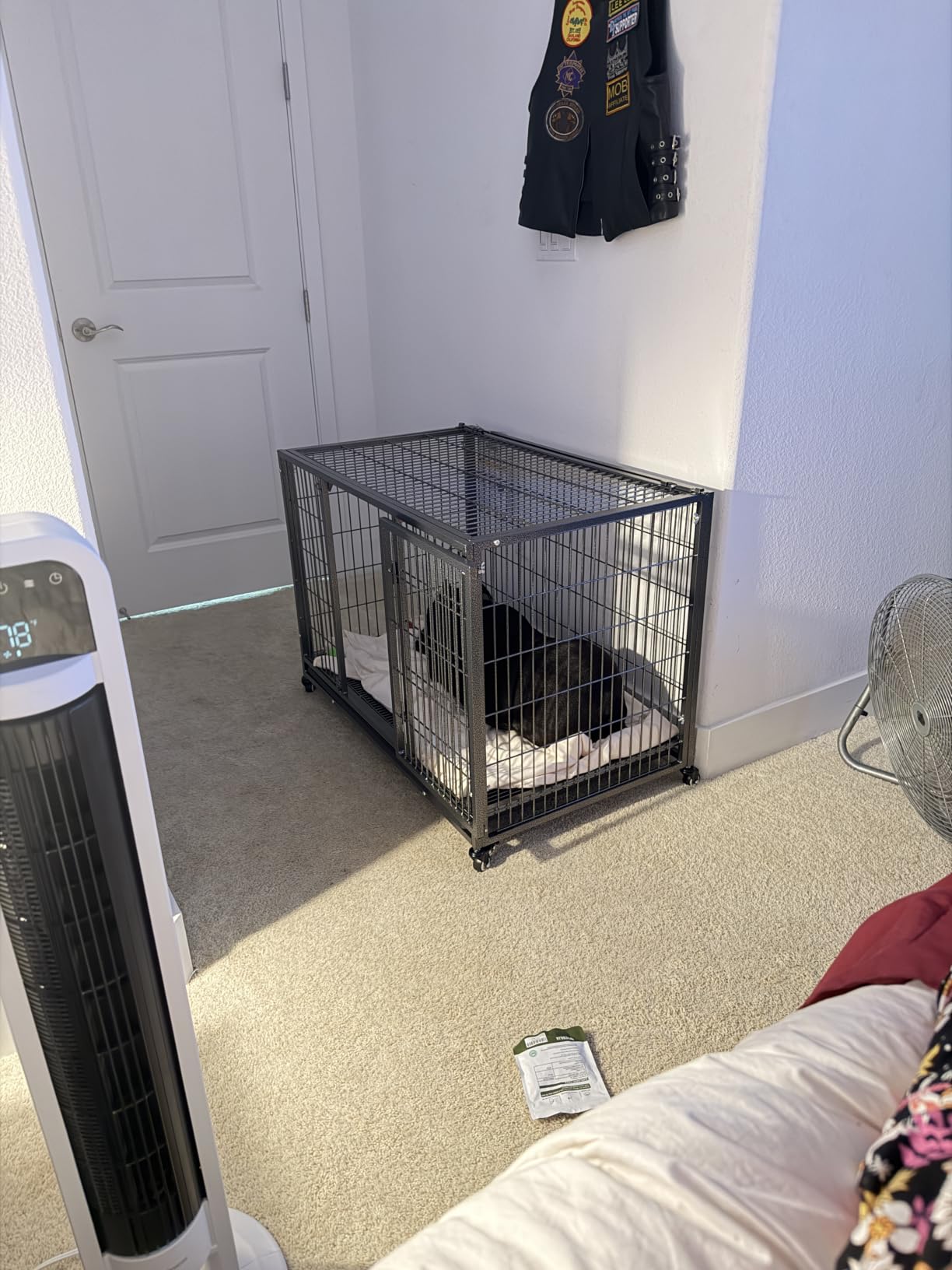 BOLDBONE 48 inch Heavy Duty Indestructible and Escape-Proof Dog Crate Cage Kennel for Large Dogs, High Anxiety Dog Crate with Removable Wire Trays and Wheels, Extra Large XL XXL, Black customer photo 2