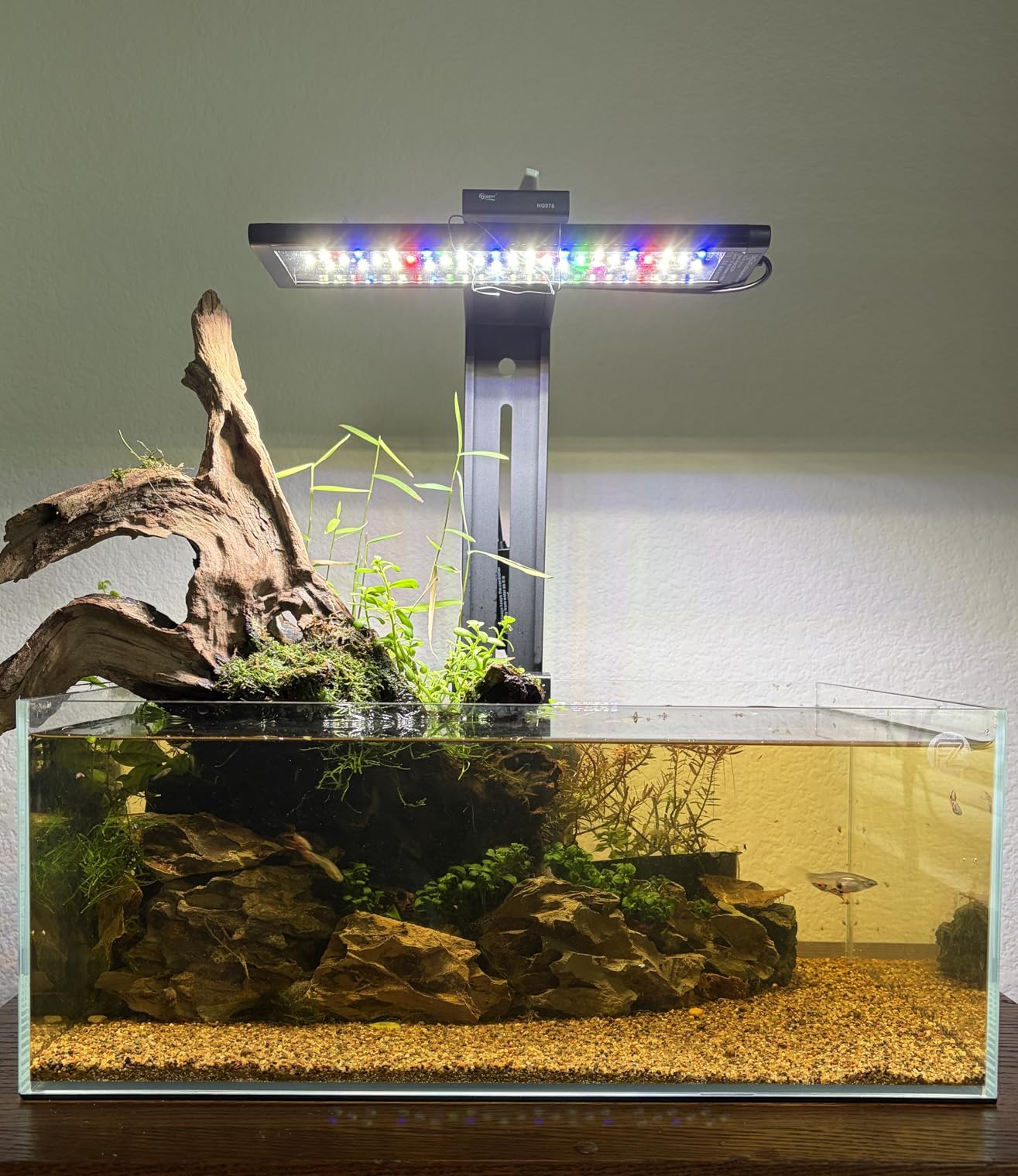Fzone 6.4 Gal Shallow Rimless Low Iron Fish Tank Nova Clear Ultra-White 45° Mitered Edges Translucent Glass Anata Series Aquarium w/Black Foam Leveling Mat customer photo 1