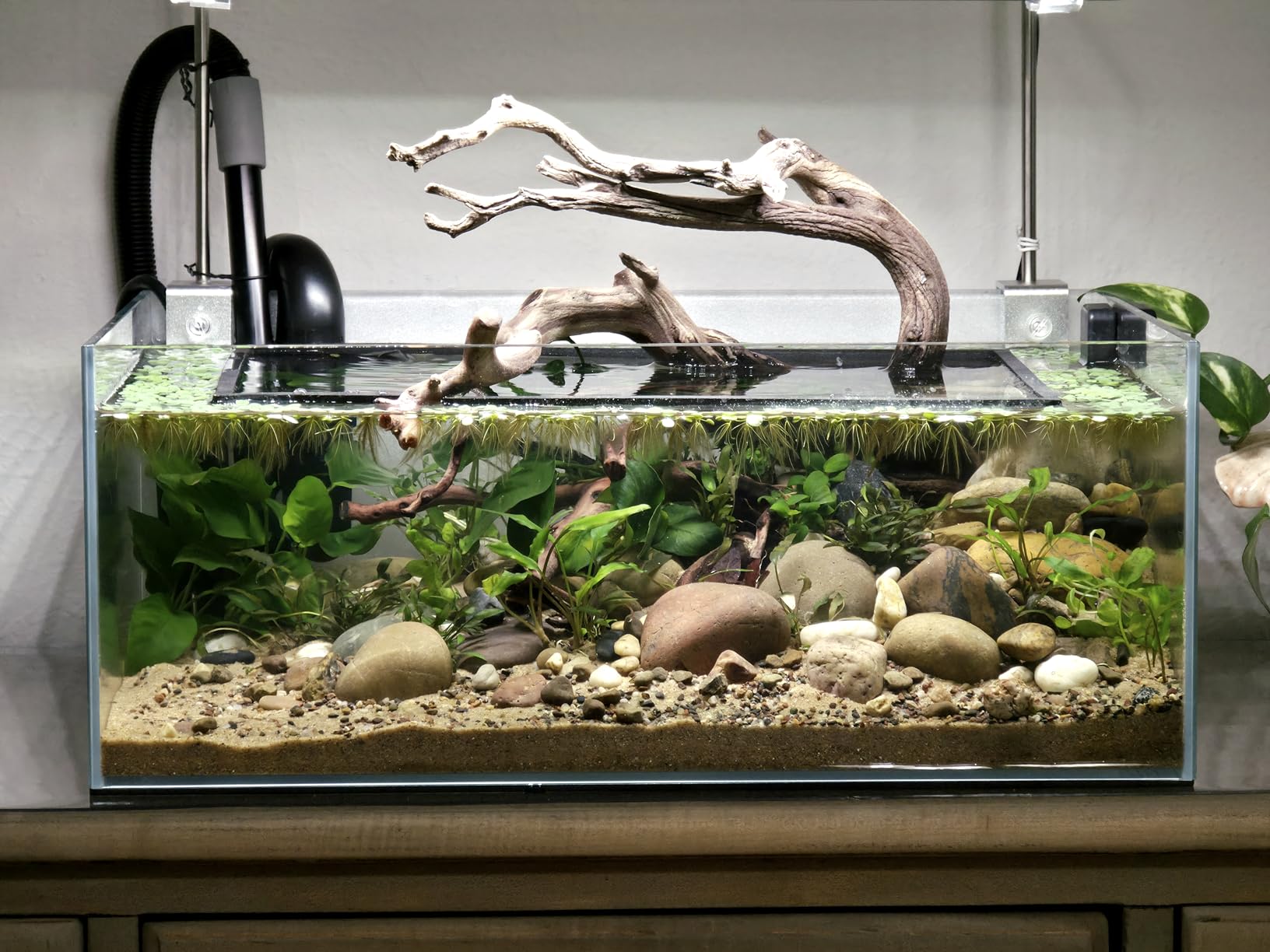 Fzone 6.4 Gal Shallow Rimless Low Iron Fish Tank Nova Clear Ultra-White 45° Mitered Edges Translucent Glass Anata Series Aquarium w/Black Foam Leveling Mat customer photo 2