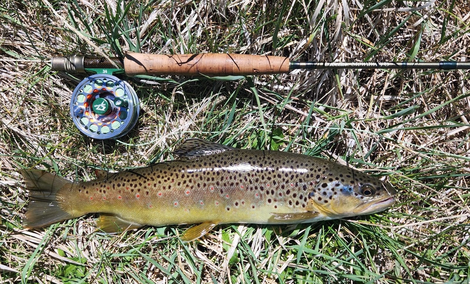 Piscifun Sword Fly Fishing Reel, CNC-Machined Aluminum Alloy Fly Reel | Lightweight Aluminum Alloy Design, Corrosion Resistance Design, Pre-Loaded with Fly Line, Smooth Drag System customer photo 1