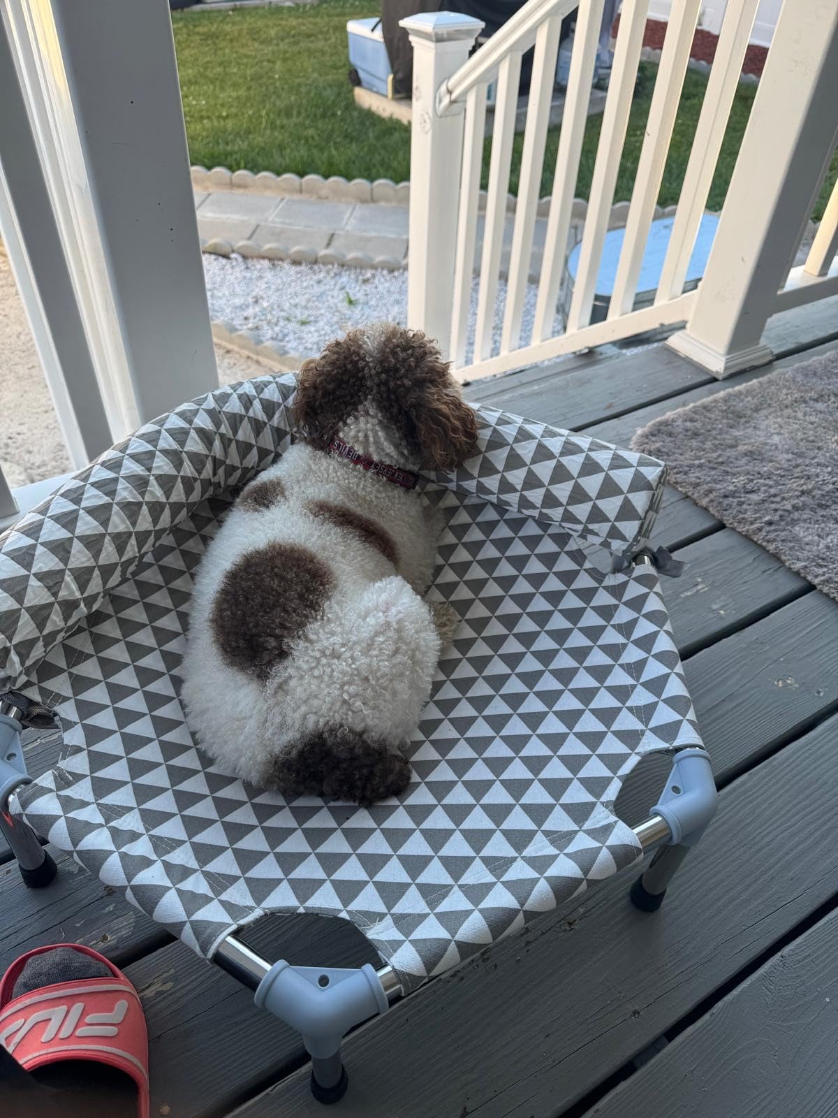 Kuntrust Elevated Outdoor Dog Bed, Medium Size, Cotton Material, Non-Slip Feet, Fits up to 70lbs customer photo 1