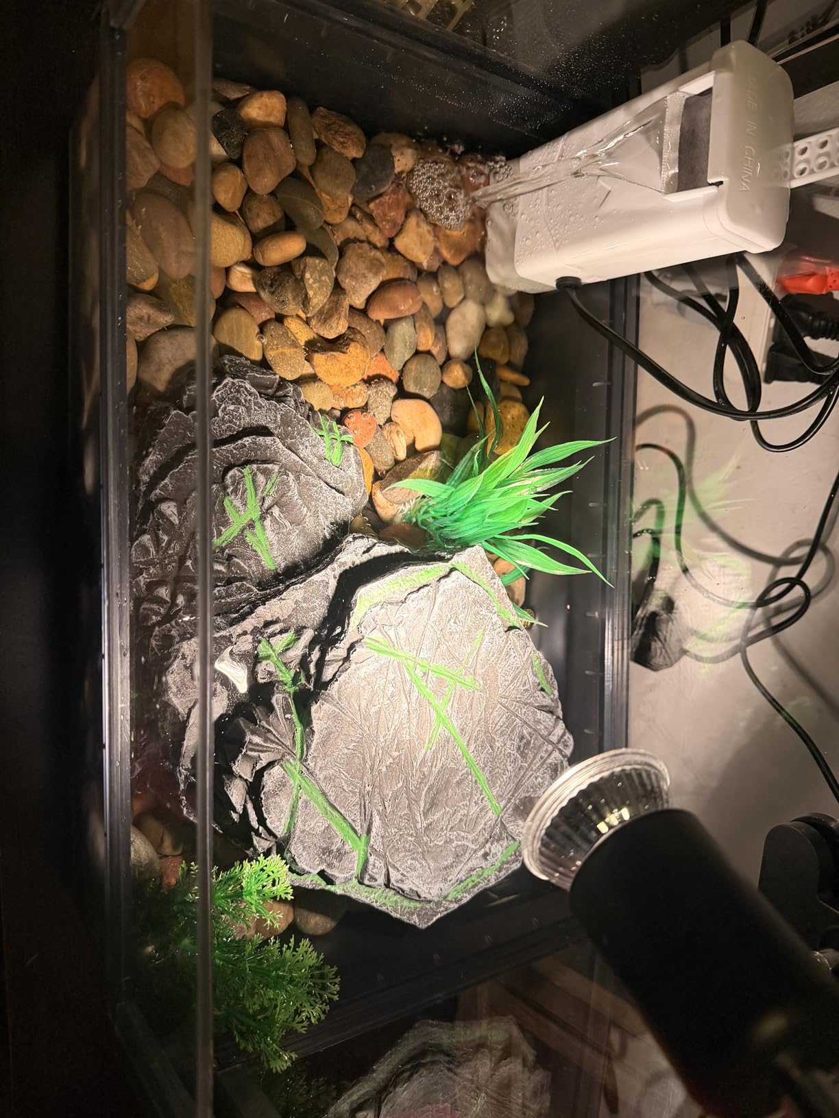 Large Turtle Tank Kit for Aquatic Turtles - Complete Starter Habitat with Filter, UVB Lamp, Basking Platform, Plants, Feeding Ring - Turtle Aquarium Kit (Black) customer photo 1