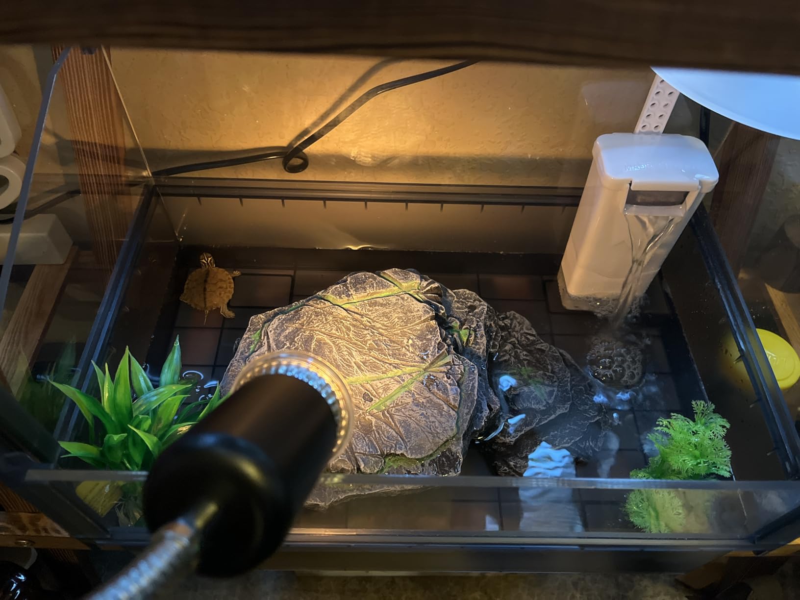 Large Turtle Tank Kit for Aquatic Turtles - Complete Starter Habitat with Filter, UVB Lamp, Basking Platform, Plants, Feeding Ring - Turtle Aquarium Kit (Black) customer photo 2