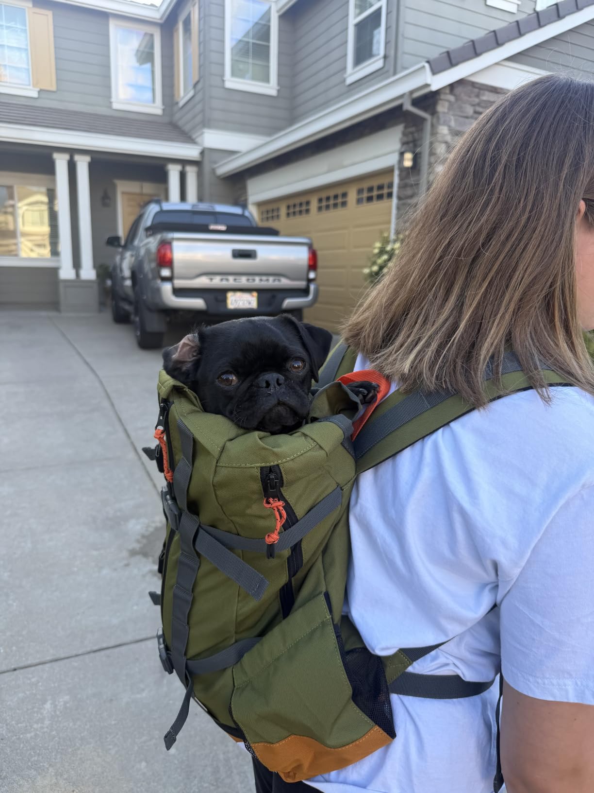 K9 Sport Sack Urban 3 - Small, Leafy - Ideal for Dogs with 13-16