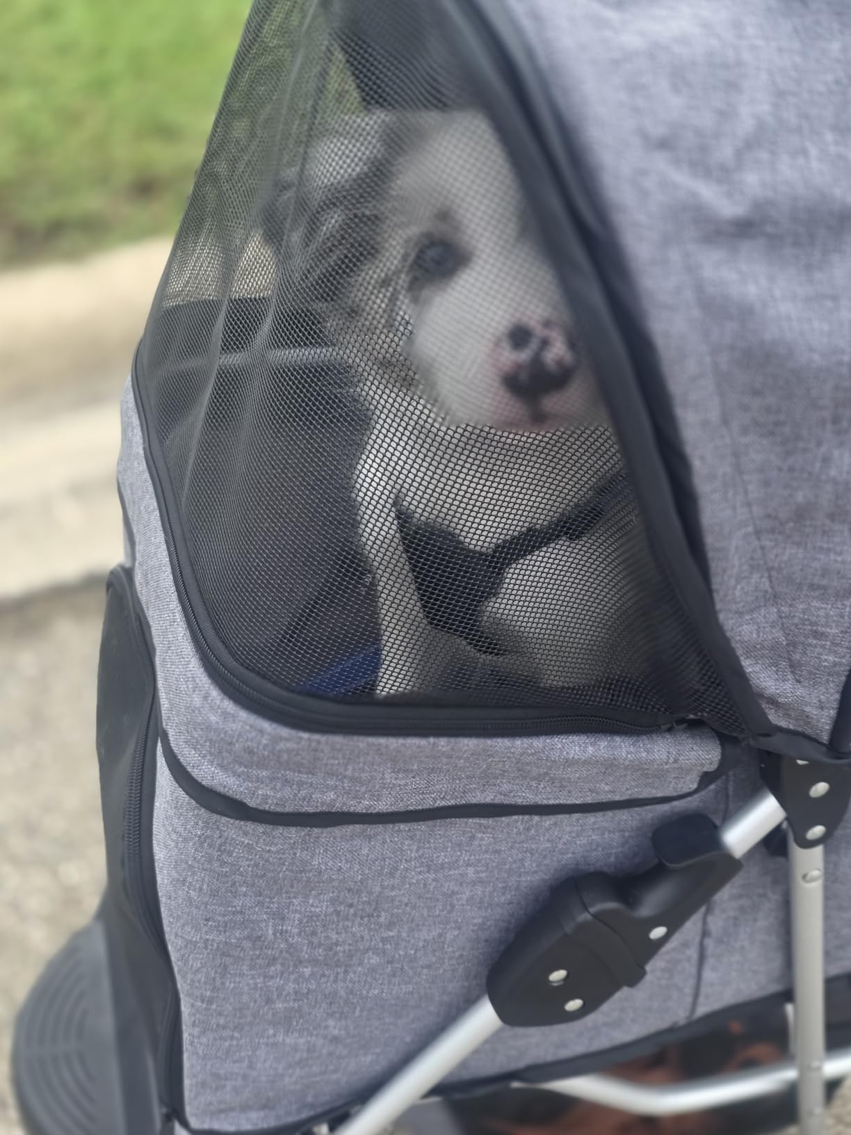 MoNiBloom Pet Stroller for Small/Medium Dogs and Cats up to 33 lbs, Black | Foldable Dog Stroller 3 Wheels Pet Strolling Cart w/ Storage Basket Cup Holder, Breathable and Visible Mesh for All-Season customer photo 2