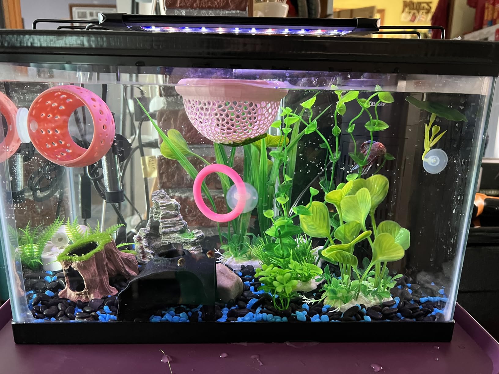 Pawfly 11W Aquarium LED Light for 12 to 18 Inch Fish Tanks Extendable Fish Tank Light with Full Spectrum Brilliant White Blue Red Lights with Daytime & Night Modes and Adjustable Brightness customer photo 2