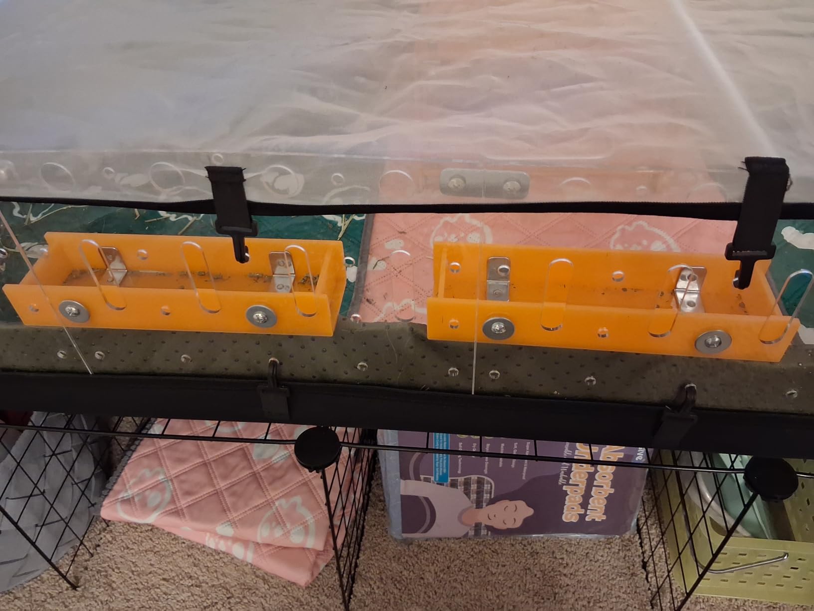 GuineaLoft Model-A Acrylic Guinea Pig Cage - Large 4x2ft Expandable C&C | Also Works for Small Roaming Animals Like Rabbits, Button Quails, and Hedgehogs customer photo 2
