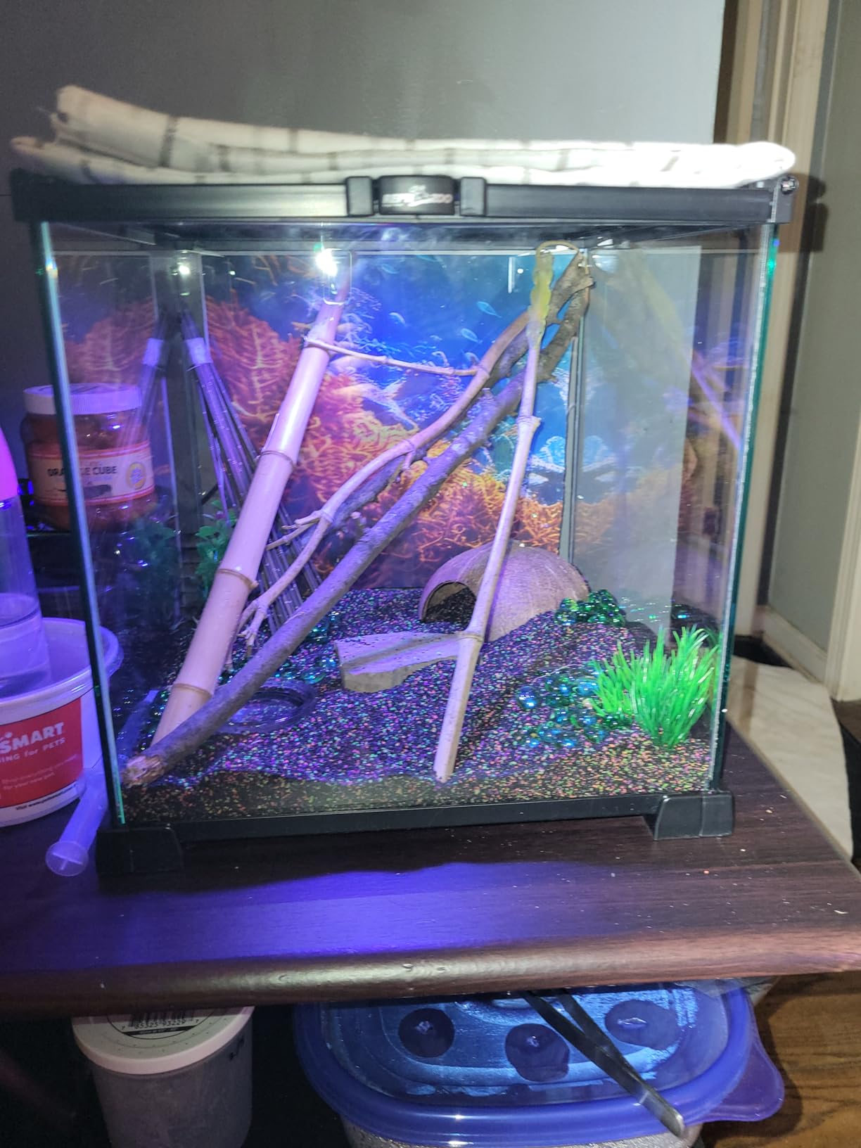 REPTI ZOO Full Glass 15 Gallon Reptile Tank, Medium Reptile Terrarium 24