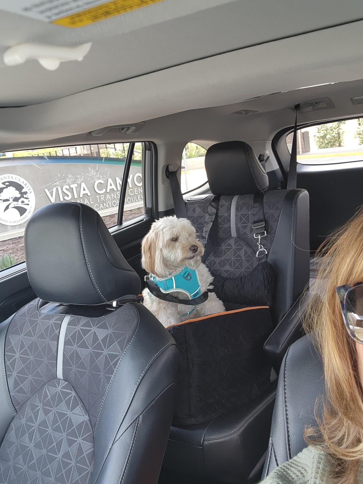 Dog Car Seat for Small Dogs Up to 25 lbs with 6-Inch Memory Foam Cushion | Elevated Booster Seat with Safety Belts, Storage Pockets and Removable Washable Cover for Front or Back Seats, Grey customer photo 1