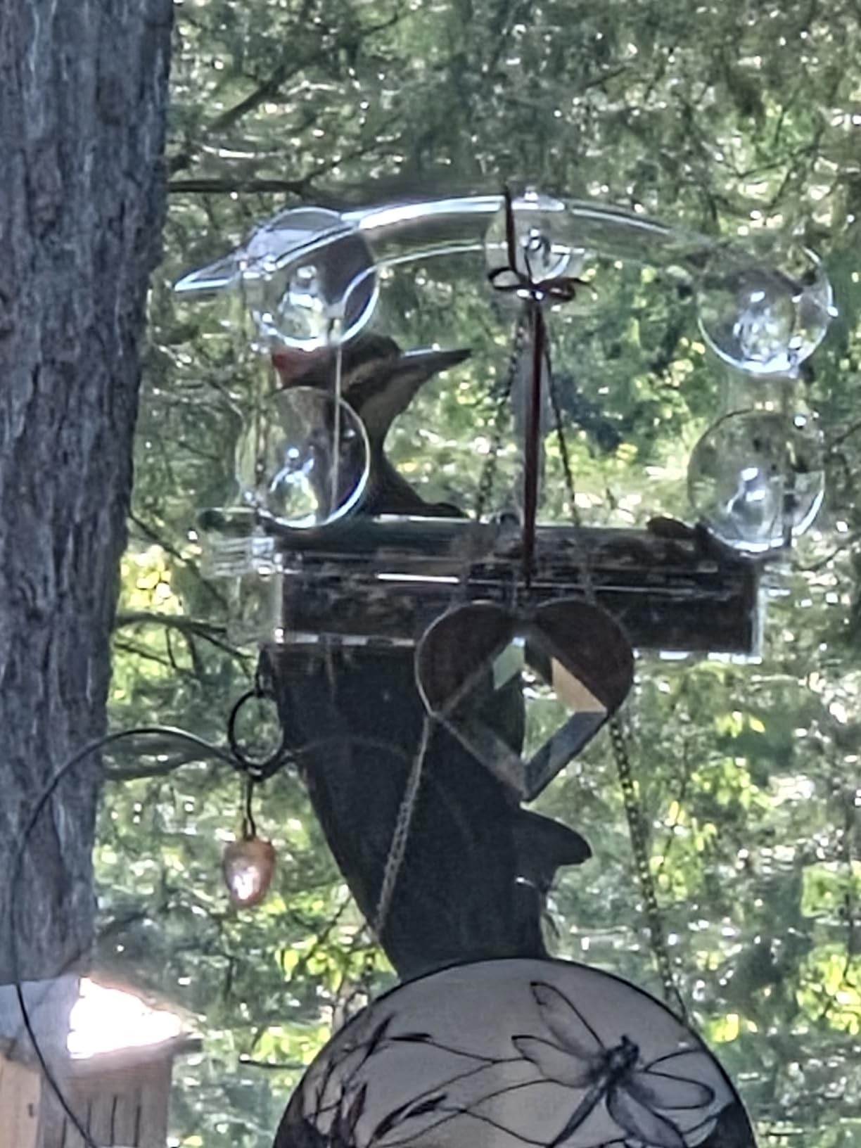 Clear Acrylic Window Bird Feeder for Outside with 4 Strong Suction Cups and Detachable Seed Tray, Highly Transparent Outdoor Viewing Birdfeeder, Wild Bird House Box customer photo 2
