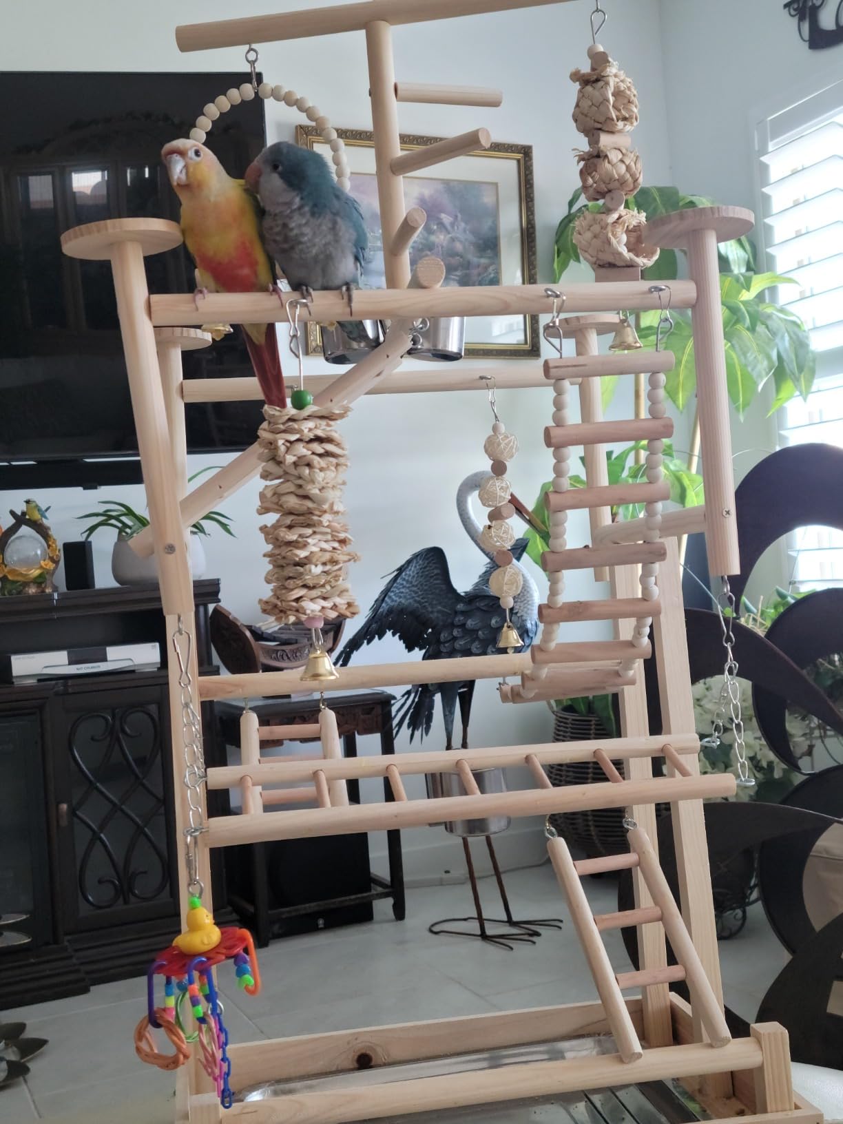 LIMIO Bird Playground - Natural Wood Parrot Playstand with Perches, Bird Play Gym & Accessories, Removable Tray & 4 Stainless Steel Cups customer photo 2