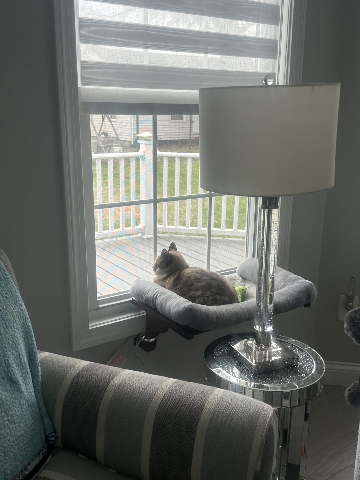 Zakkart Cat Perch for Windowsill with Bolsters (Natural Wood/Gray, L) | Hook-On Windowsill Mount, Machine Washable Hammock Bed, Premium Hardwood & Robust Metal Frame, Hold up to 40 lbs customer photo 1