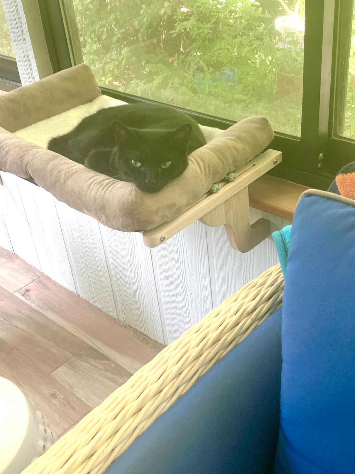 Zakkart Cat Perch for Windowsill with Bolsters (Natural Wood/Gray, L) | Hook-On Windowsill Mount, Machine Washable Hammock Bed, Premium Hardwood & Robust Metal Frame, Hold up to 40 lbs customer photo 2