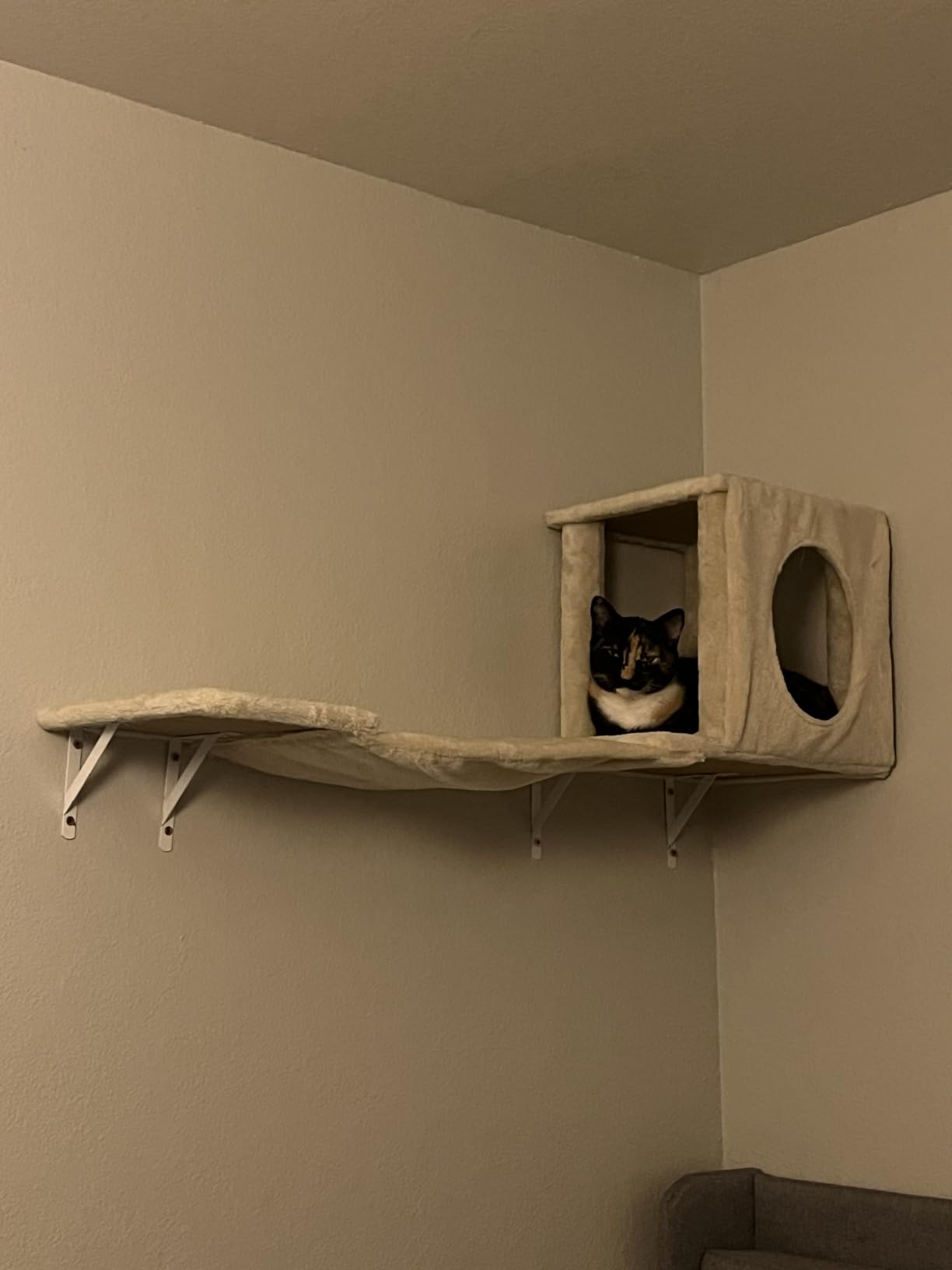 NUNU LAB Cat Wall Shelves, 6 Pcs Luxury Wall-Mounted Cat Climber Set, Dark Gray customer photo 1