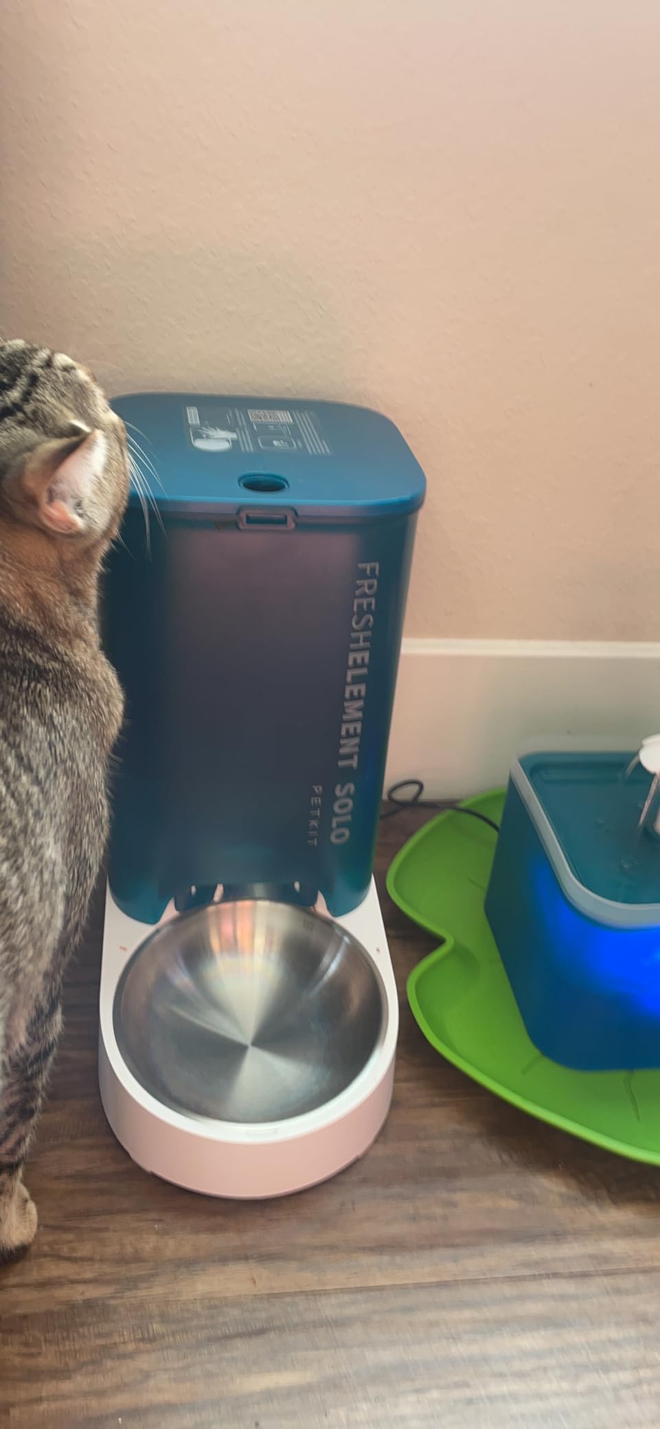 PETKIT Automatic Cat Feeder, 2.4G WiFi Automatic Dog Feeder, App Control Pet Food Dispenser with Triple Fresh-Lock System, Schedule Feeding, Food Shortage Alert, Dual Power-Charge&Battery, 3L Capacity customer photo 2