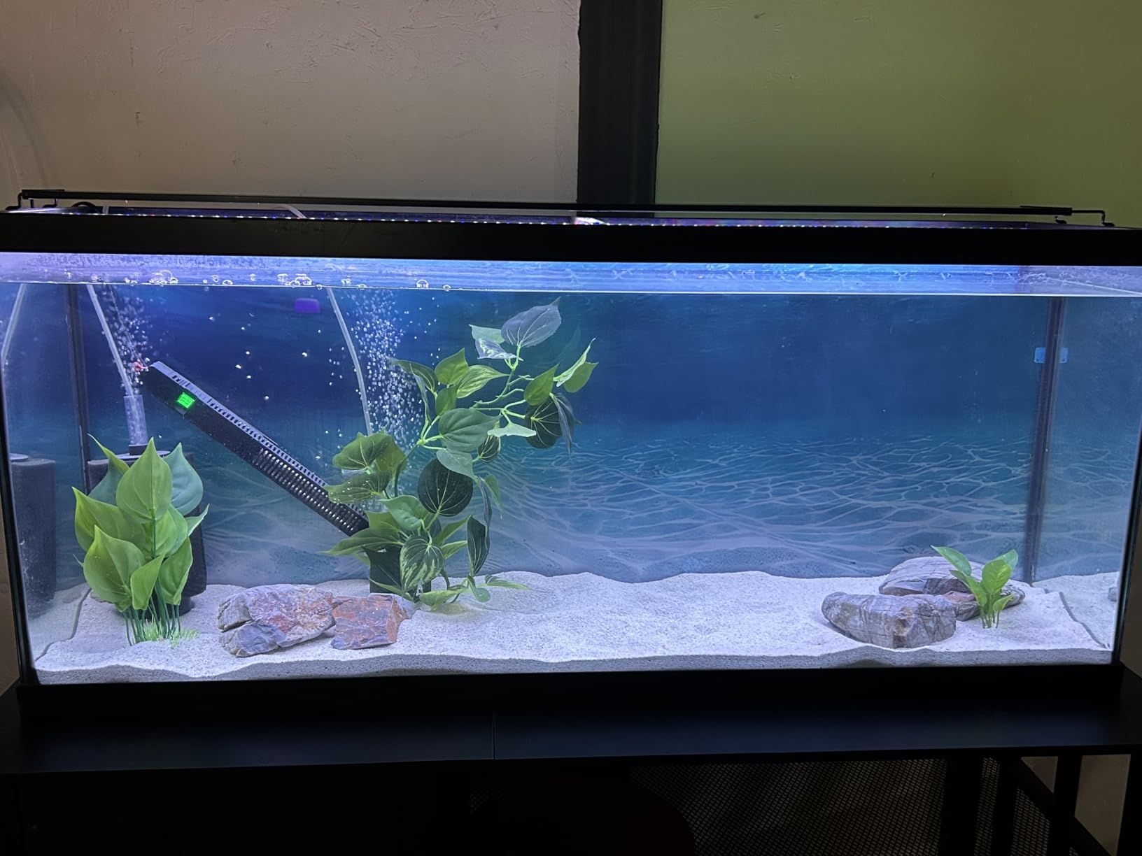 AQQA Aquarium Air Pump, 3W Powerful Dual Outlet Adjustable Oxygen Aerator customer photo 2