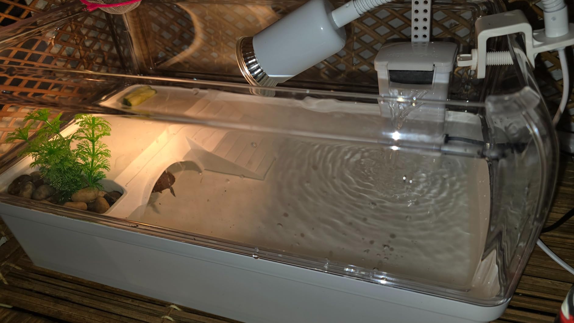 AZV Turtle Tank Starter Habitat Kit, Complete Aquatic Terrarium Enclosure | With Filter, Basking Platform with Hideout, Multi-Function Area, Drainage, Plants and Lamps, Perfect for Red Eared Slider Aquarium customer photo 2