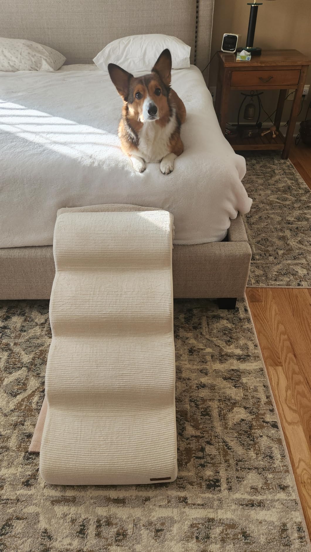 Lesure Dog Pet Stairs for Small Dogs, Beige, 4 Steps | Pet Steps Ramp for High bed and Couch, 33D CertiPUR-US Certified Foam, Indoor and Car Use, Non-Slip Bottom, Removable Cover customer photo 1