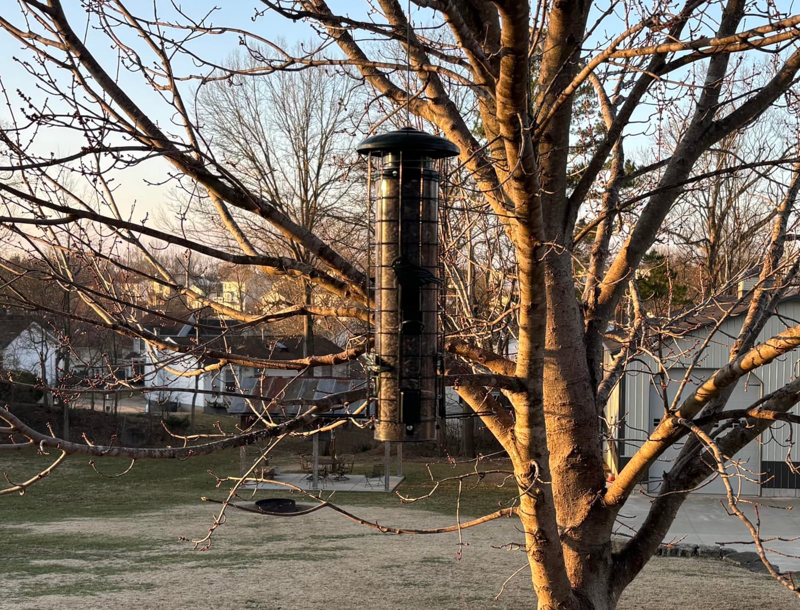 Squirrel Proof Bird Feeder,Metal Mesh Bird Feeders for Outdoors Hanging,Gravity Protection Squirrel Proof Wild Bird Feeders with Finch Cardinal Chickadee,3LB Large Capacity,Green customer photo 2