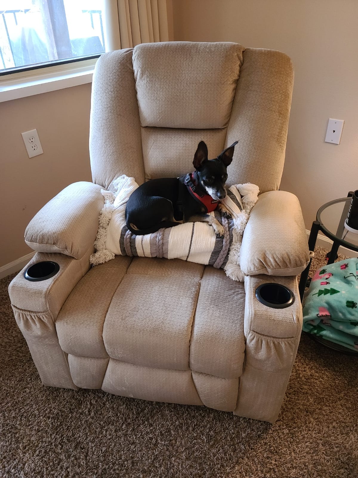 MCombo Oversized Power Lift Recliner Chair Sofa with Massage and Heat for Elderly People Petite, USB Ports, Side Pockets, Fabric R7561 (Beige, Small-Oversize) customer photo 1