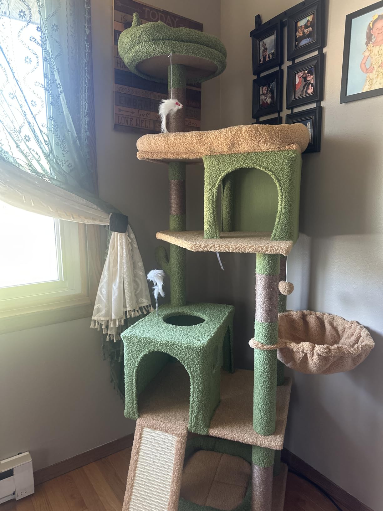 Globlazer Heavy Duty Cat Trees for Large Cats 20 lbs+, Dark Gray | Sturdy 72in Maine Coon Cat Tree Tower for Adult Biggest Cat with 6 Scratching Posts, Hammock, S72, Dark Gray customer photo 2
