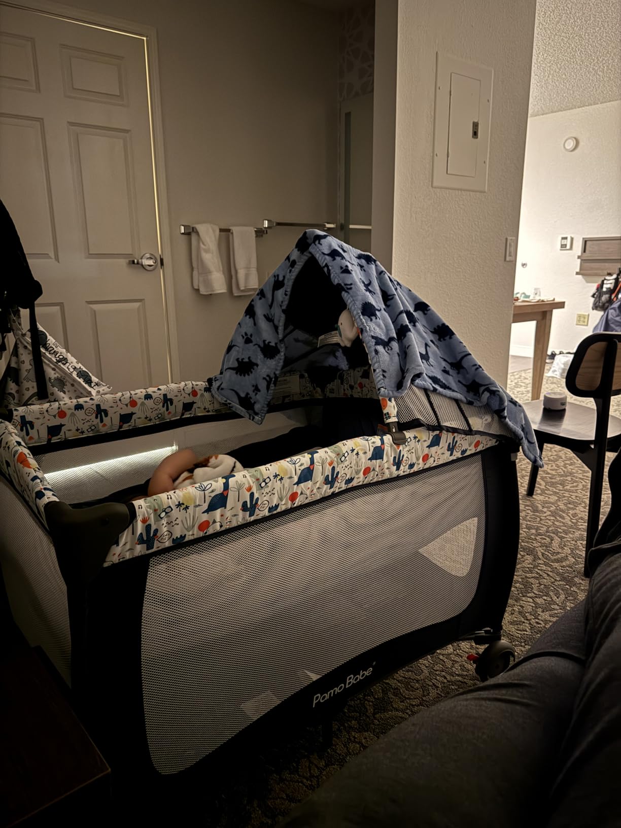 Pamo Babe Baby Playard with Canopy, Portable Crib with Changing Table customer photo 1
