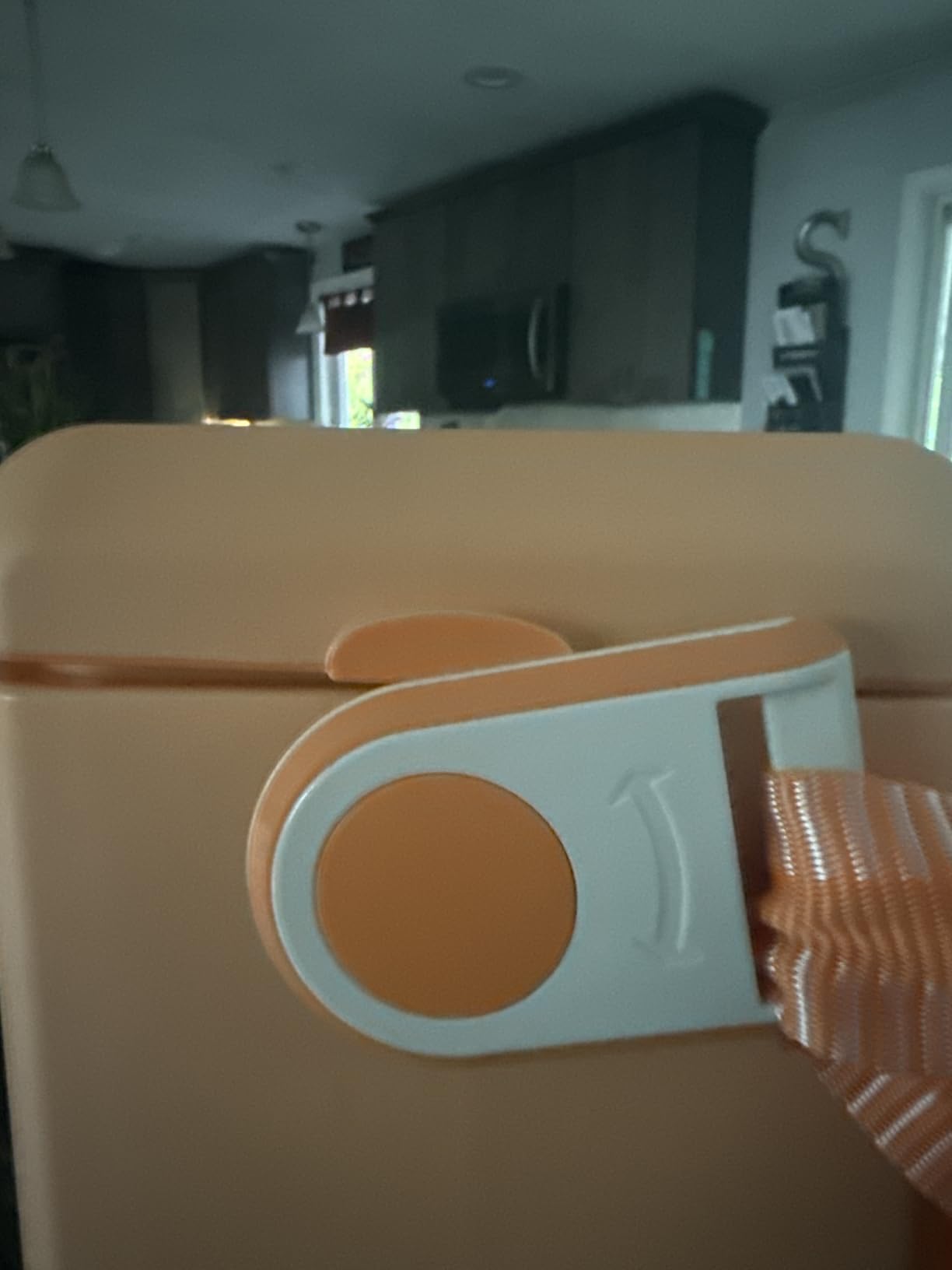 Igloo Tag Along Too Coolers | Insulated Hard Shell Picnic Style Cooler | Rolling Ice Chest customer photo 1