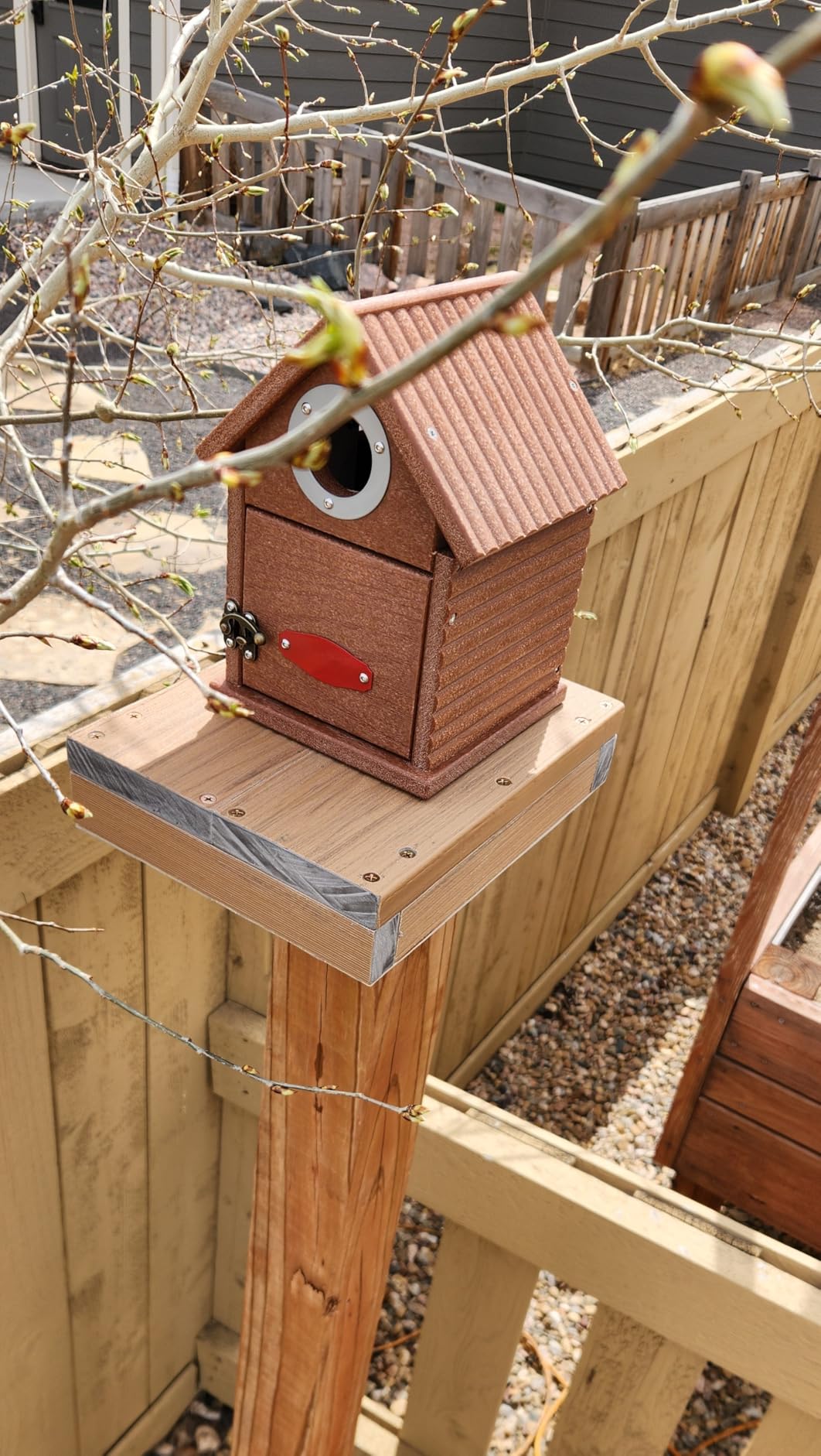 Kingsyard Bluebird House with Predator Guard, Recycled Poly Lumber, Weather-Resistant Outdoor Bird House with Easy Clean Design customer photo 1