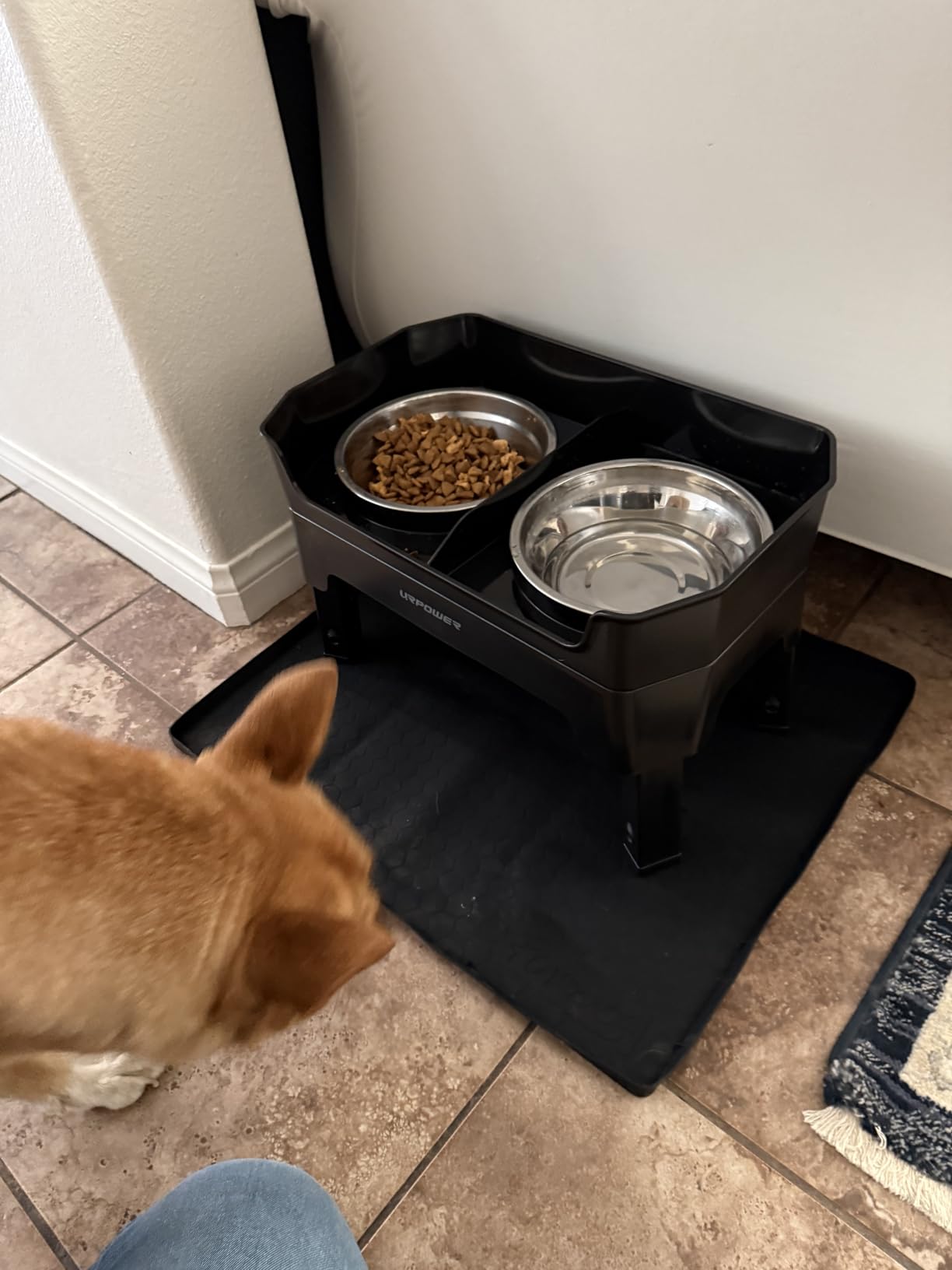 URPOWER Elevated Dog Bowls, 3-in-1 Double Deck Raised Dog Bowl Stand customer photo 1