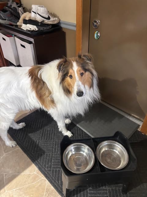 URPOWER Elevated Dog Bowls, 3-in-1 Double Deck Raised Dog Bowl Stand customer photo 2