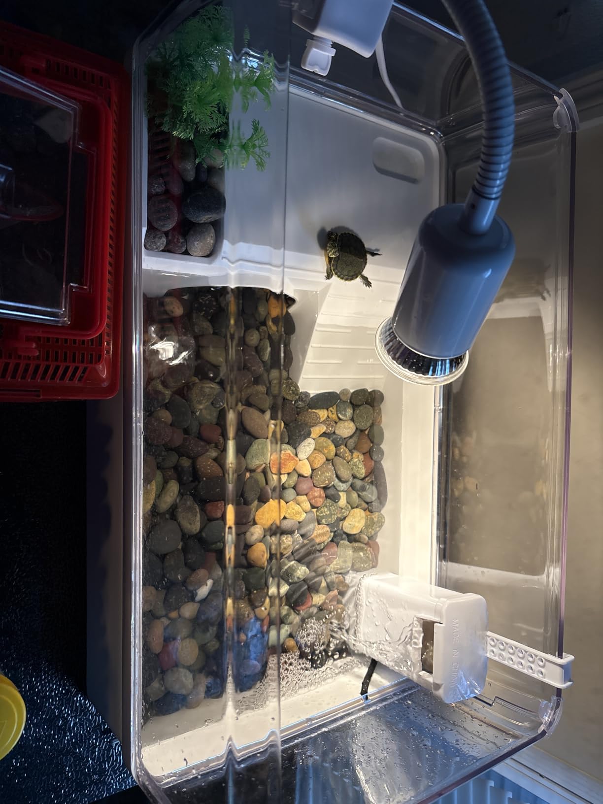 Turtle Tank Starter Kit for Baby with Silent Filter Small Green | Bottom Drain,Basking Light,Multi Zone Aquatic Small Red Eared Slider Enclosure,Anti Escape Fence Tortoise Terrarium Aquarium customer photo 2