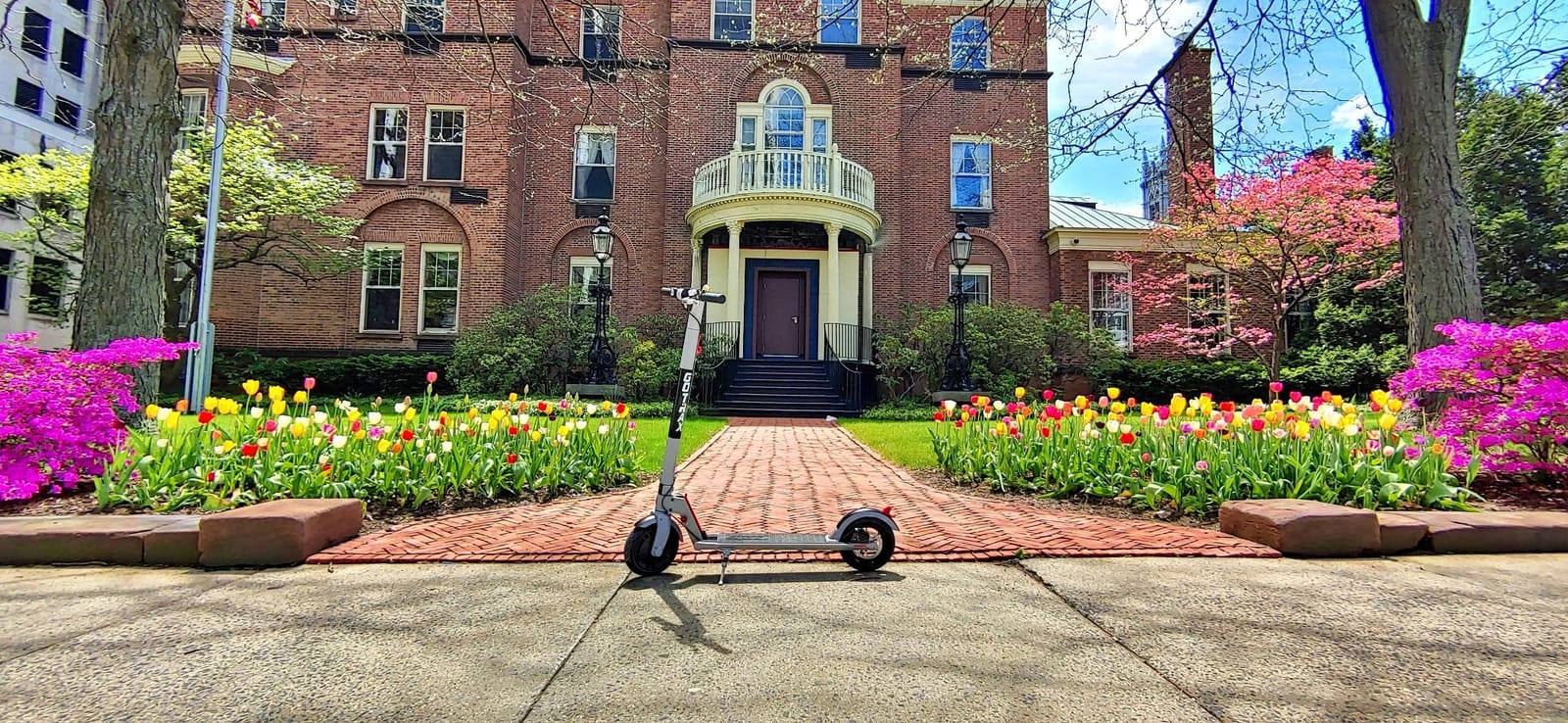 Gotrax GXL V2 Electric Scooter for Adult, 8.5