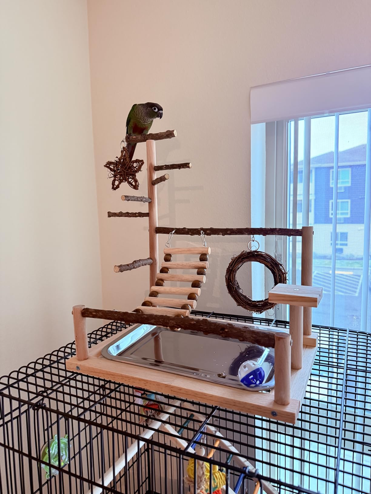 KATUMO Bird Playground - Natural Wooden Perches Parakeet Ladder Conure Swing Bird Cage Accessories with Removable Tray & 2 Stainless Steel Cups customer photo 2