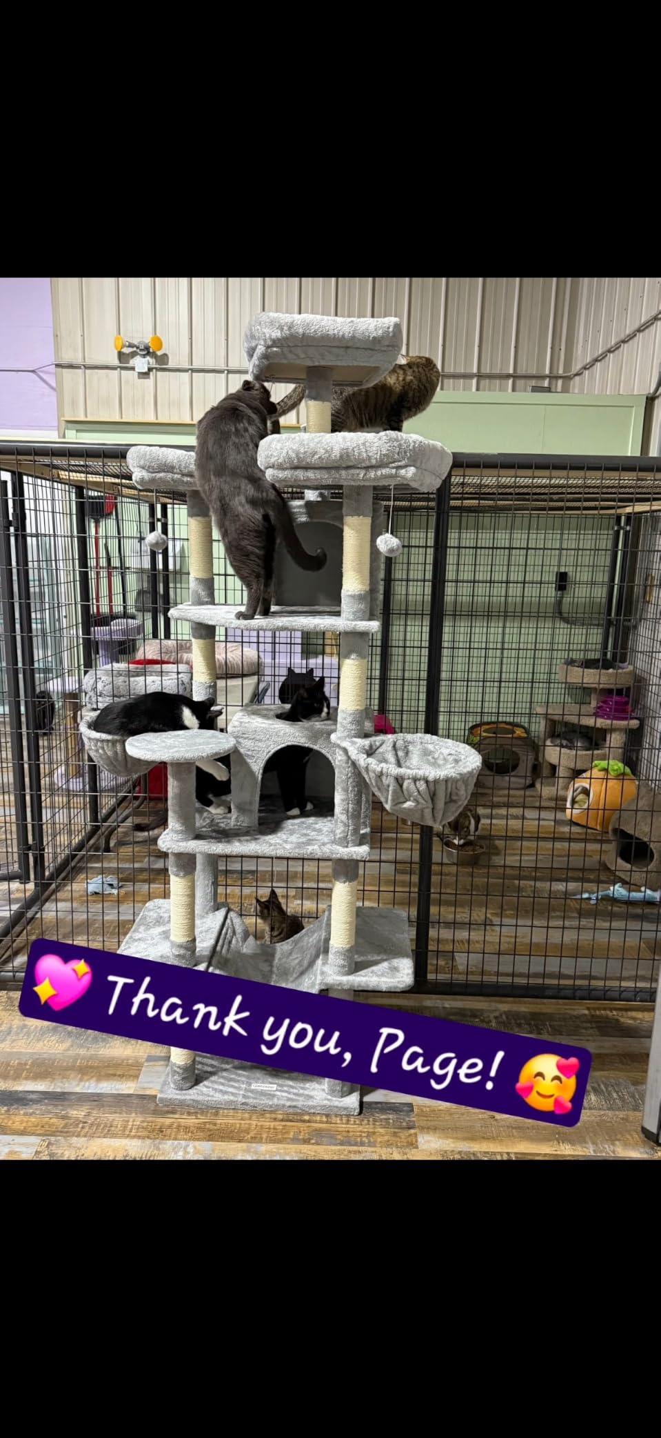 Globlazer Big XXL Cat Tower for Indoor Multiple Cats, F80, Dark Grey | 80 inch Cat Tower for Adult Cats Cat Tree with Scratching Post, Hammock, 3 Perches, 2 Condos, 2 Hanging Basket customer photo 1