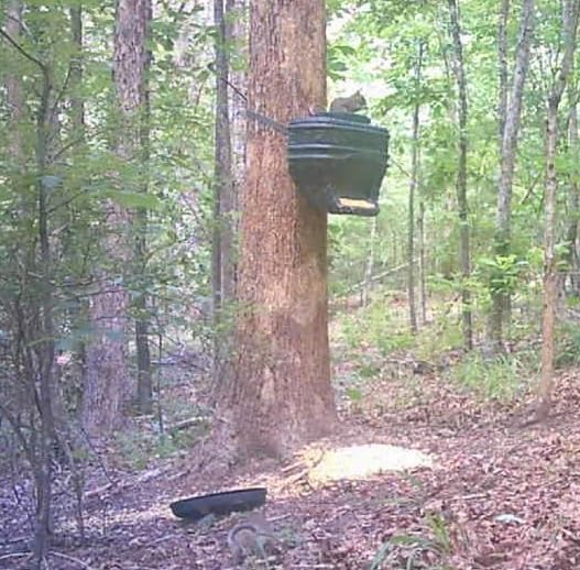 Moultrie Feed Bin - Gravity-Fed Wildlife Feeder customer photo 2