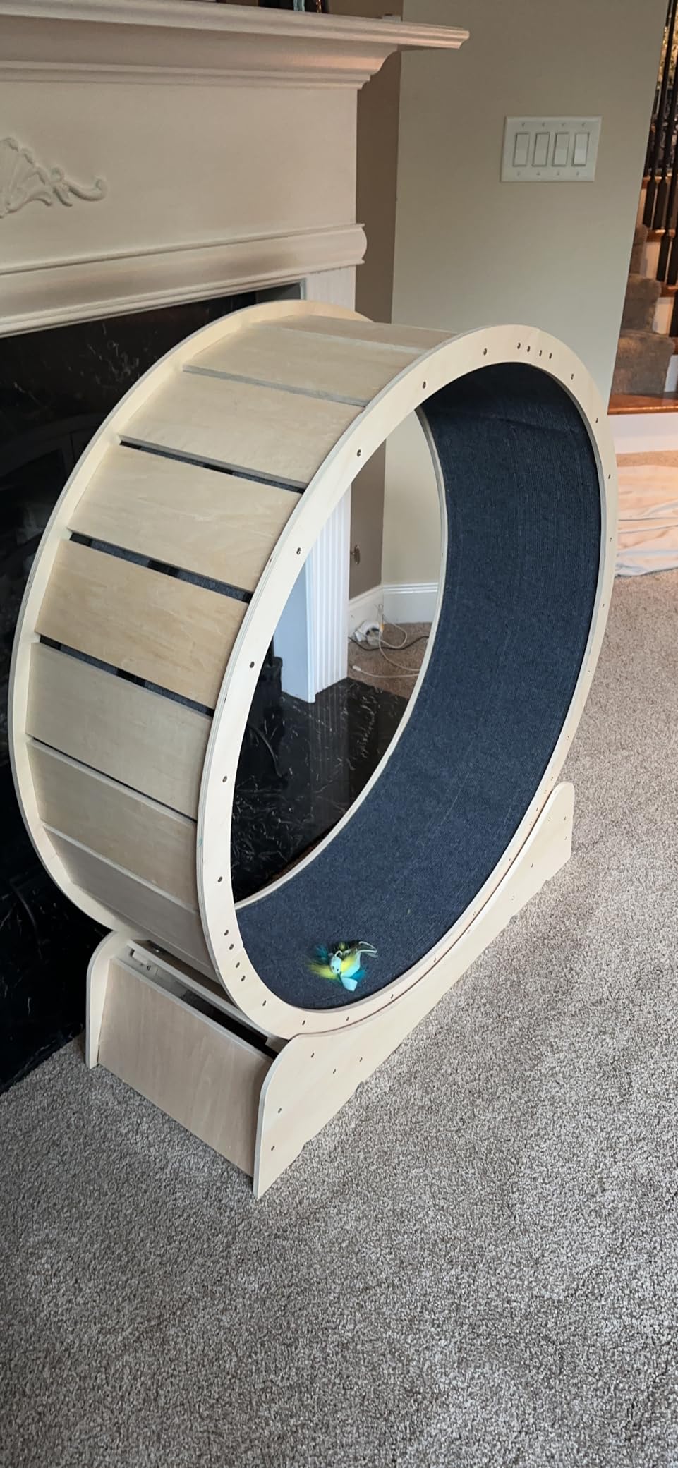 Large Cat Exercise Wheel 40 Inch Treadmill Exerciser for Indoor Cats Love Kitty Running Toy Walking Training for Fitness Weight Loss Device Suitable for Most Cats Physical Exercise Activity customer photo 2