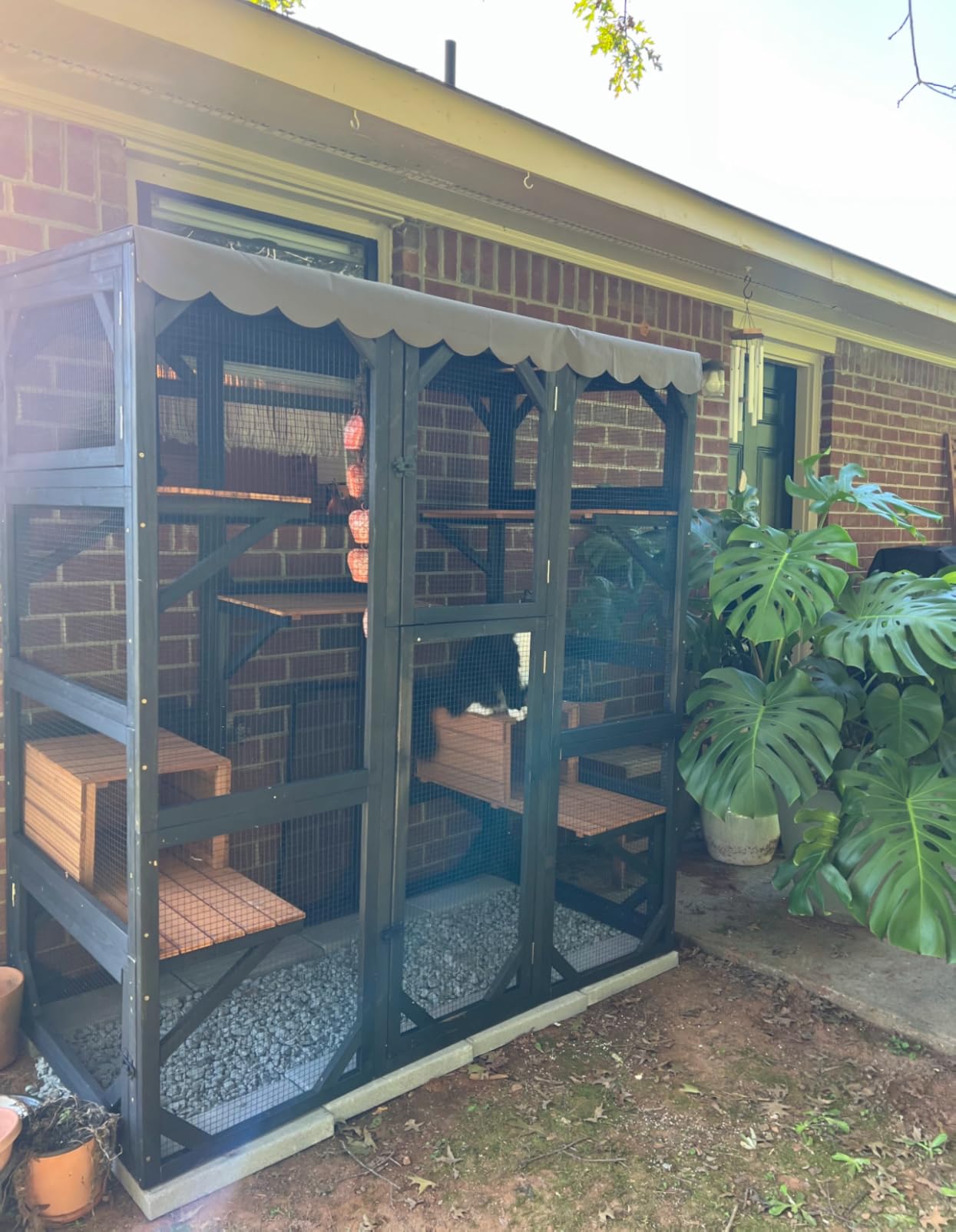 Aivituvin Catio Outdoor Cat Enclosure with 7 Platforms, 2 Resting Boxes, Large Window Cat House for 4-6 Multiple Cats Walk in Kitty Cage with Weatherproof Tarp Roof 70