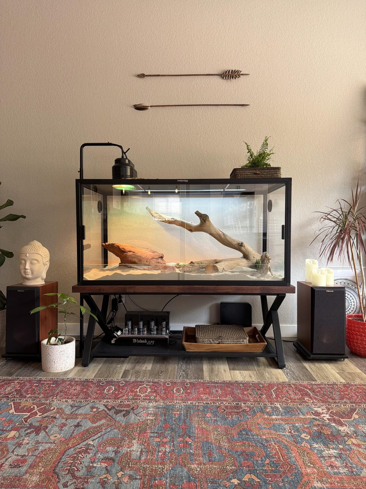 Phailozoo 120 Gallon Reptile Tank for Bearded Dragon, Snake, Adult Reptile | Optimal Ventilation & Light Penetration by Rust Proof Mesh Top, Easy Assembly within 6 Steps with Clear Instruction customer photo 2
