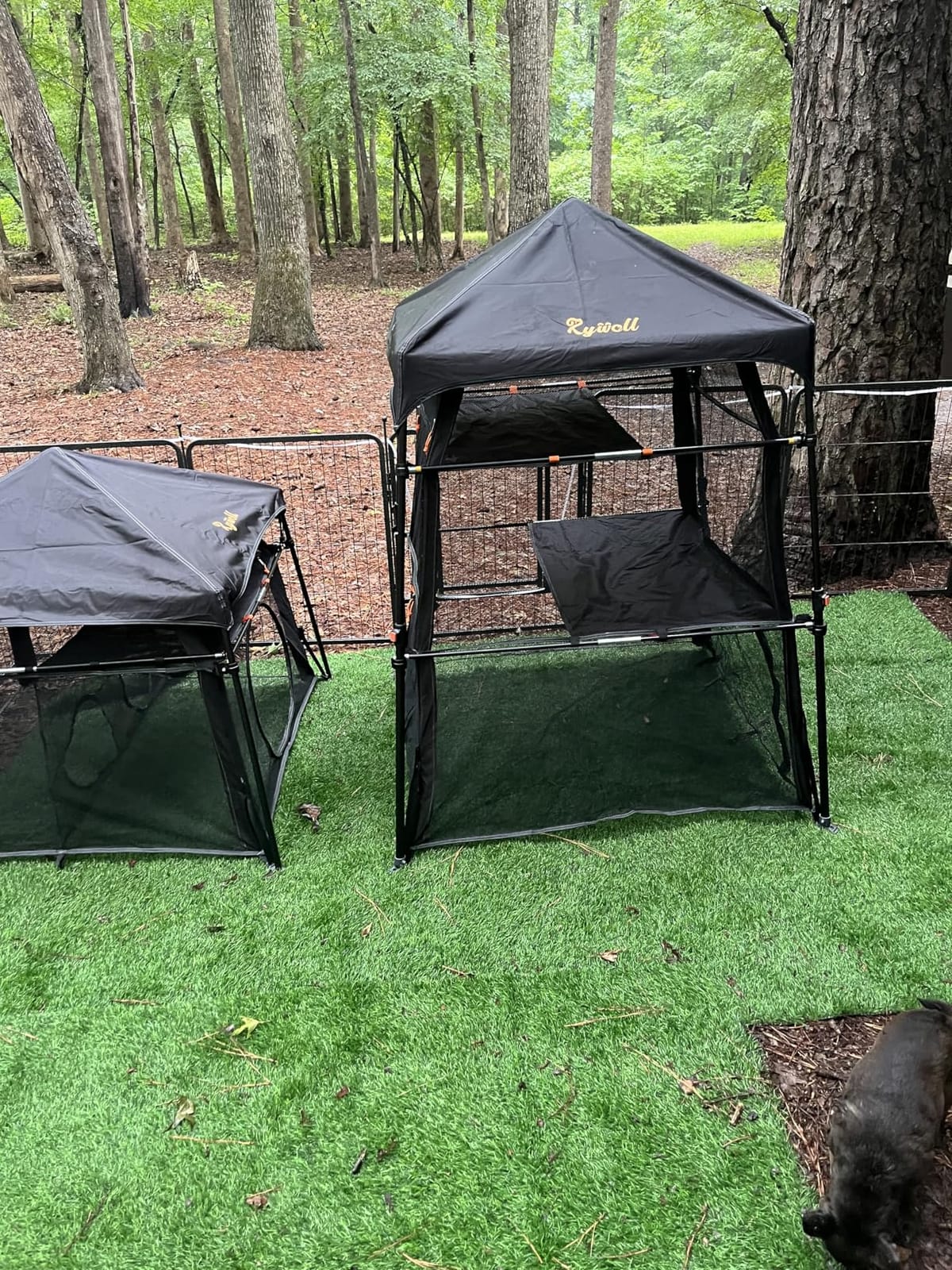 Extra Large Catio Outdoor Cat Enclosure, Rywell 3-Tier Spacious Outdoor Cat Tent, Weatherproof & Sunproof with 5 Windows, Foldable Cat Enclosure for Patio, Camping, Indoor (Includes Carry Bag) customer photo 1