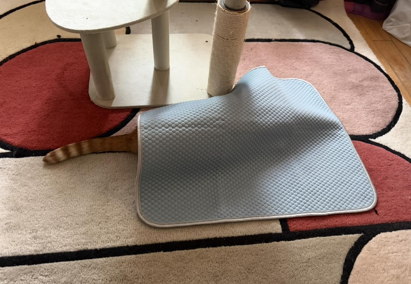 Buvlnee Summer Dog Cooling Mat, Washable Ice Silk Self Cool Pad for Small Medium Large Dogs and Cats, 24x18in Pet Sleeping Pad for Crate, Bed, Indoor & Outdoor Floor, Car Seats customer photo 1