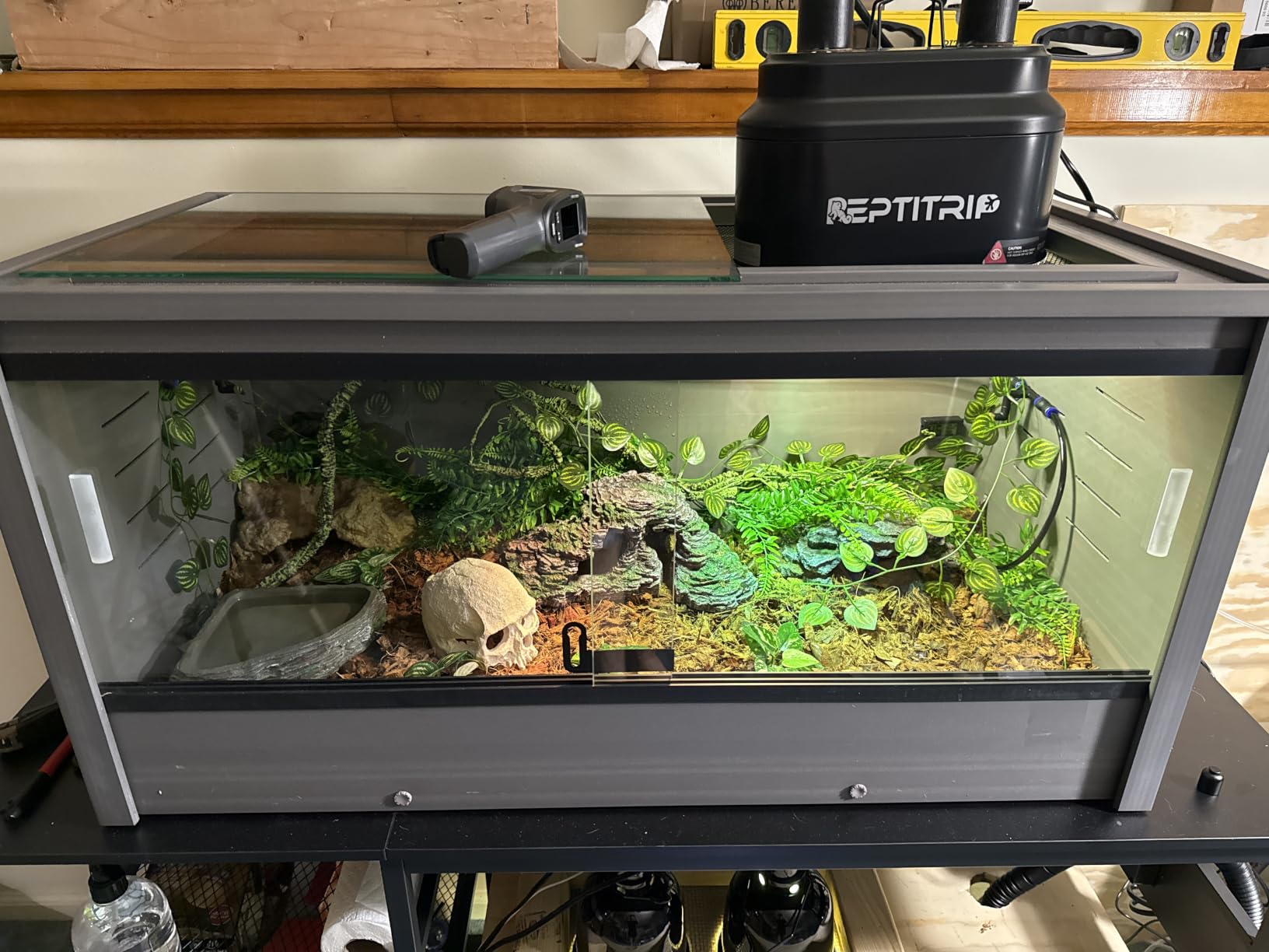 New Age Pet ECOFLEX 60 inch Mojave Reptile Enclosure, X-Large, Grey | Reptile enclosure for snakes, tortoises & lizards; sliding glass doors, mesh top; tool-free assembly customer photo 2