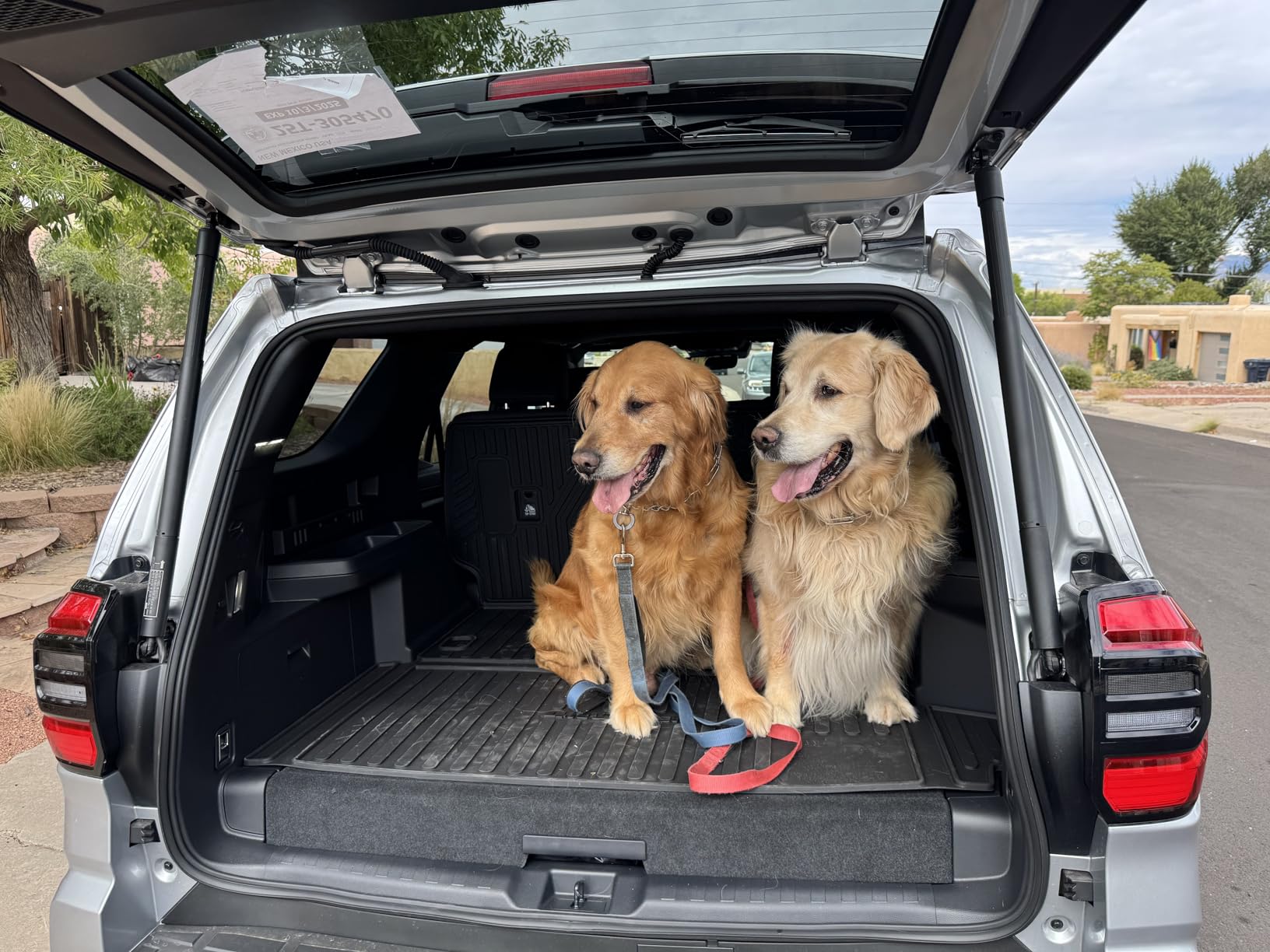 PetThem Dog Ramp for Cars, 71